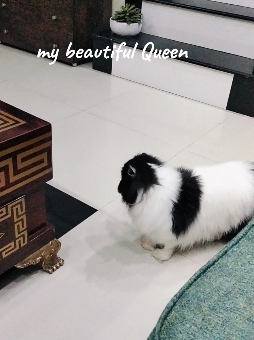 @_Humah_