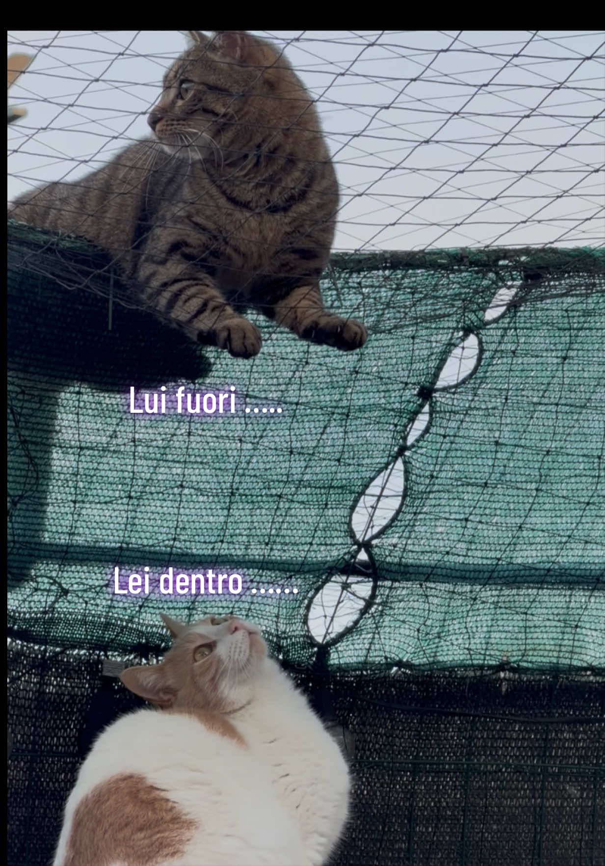 @Ilaria Iaya Benedetti