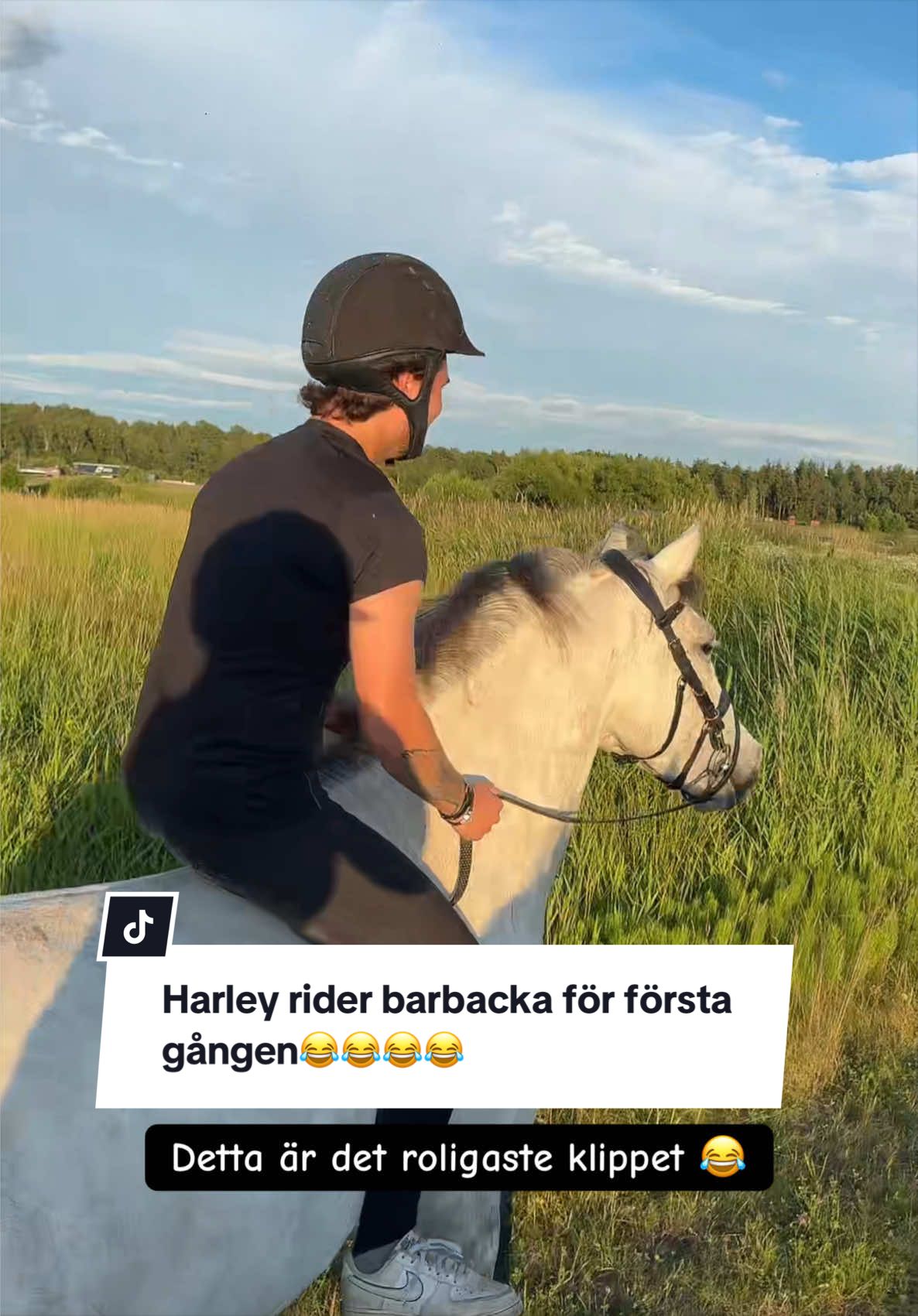 @Izabellasvarddressage