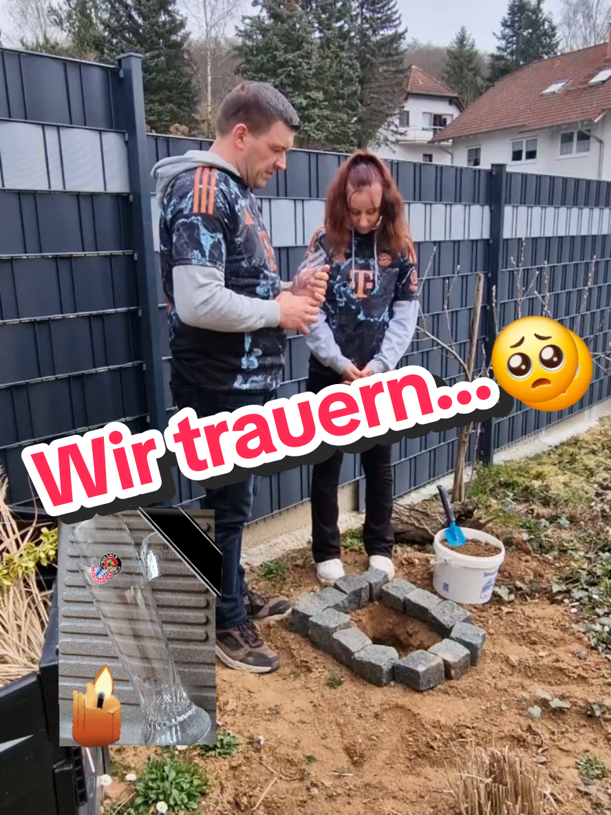 @andivibes_live