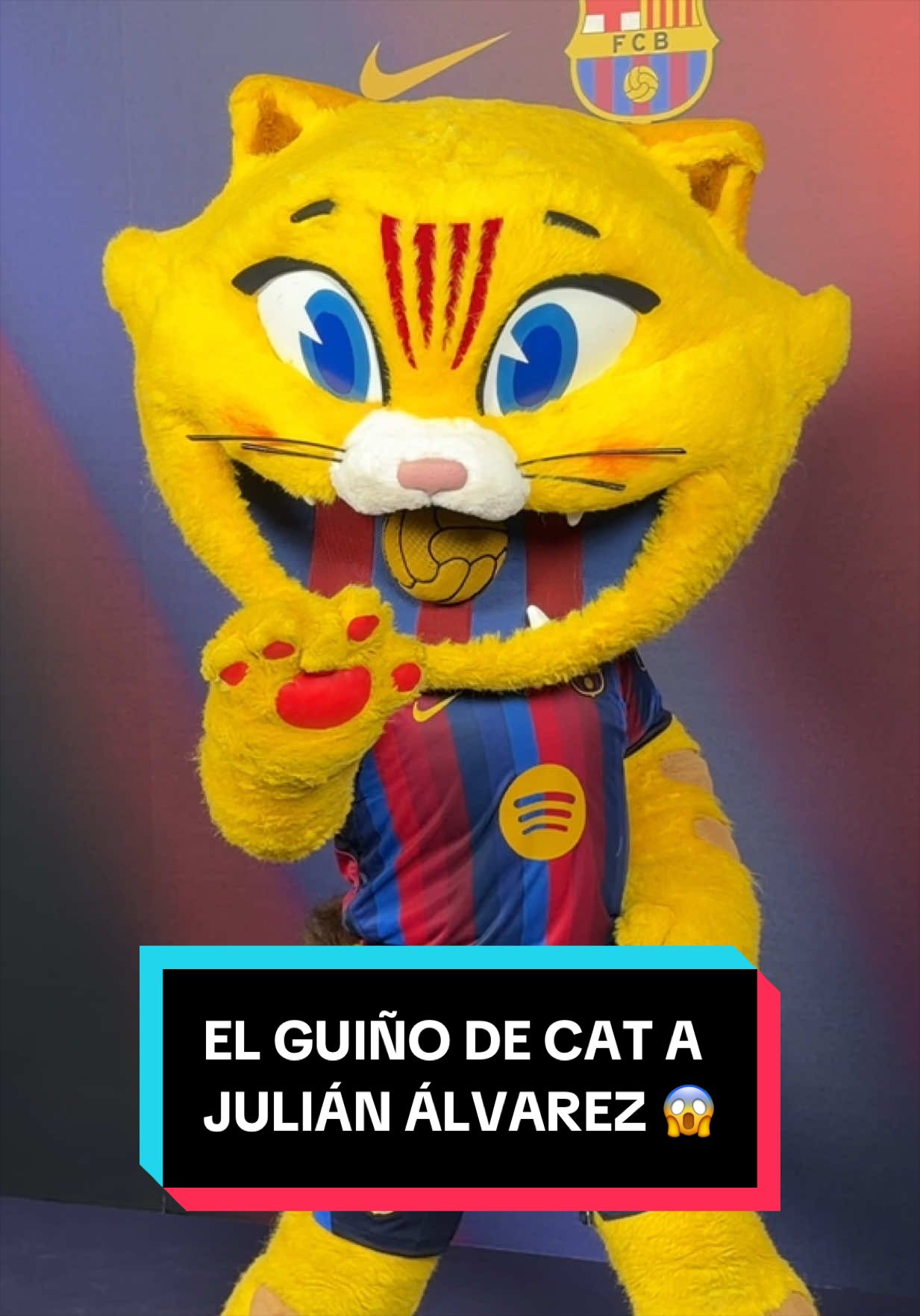 @Miquel Blázquez