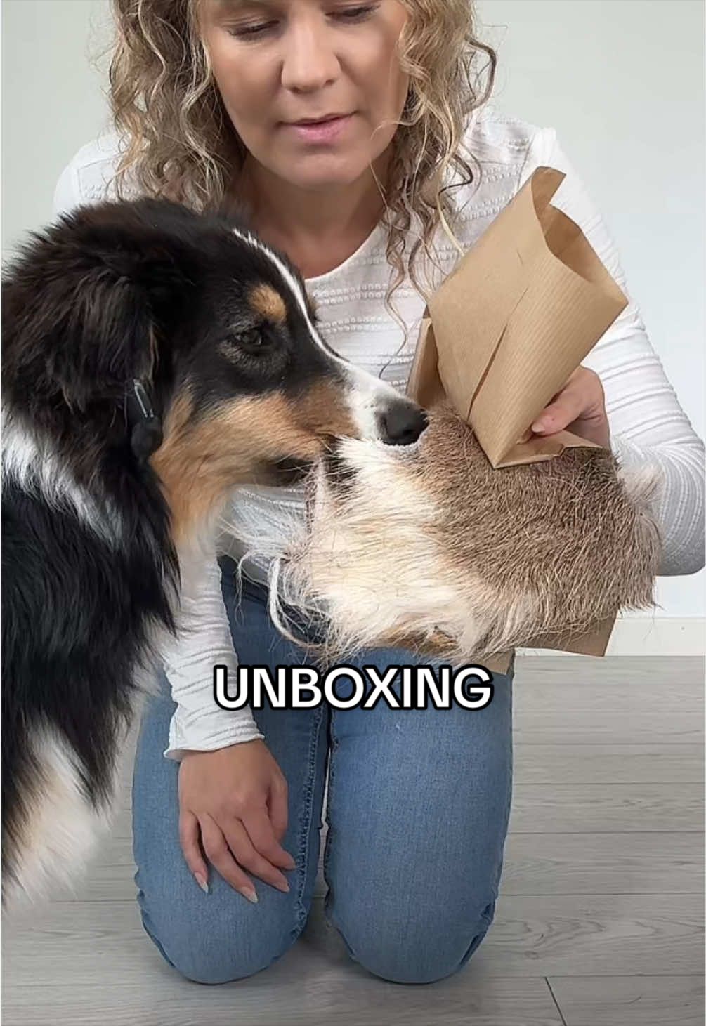 @Vilja - Australian Shepherd