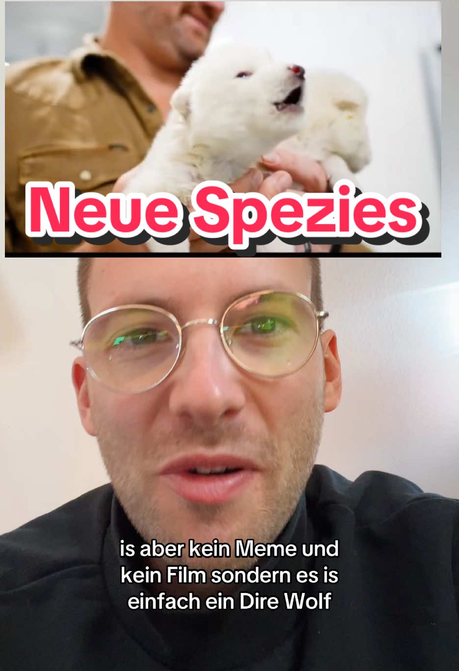 @schdefano