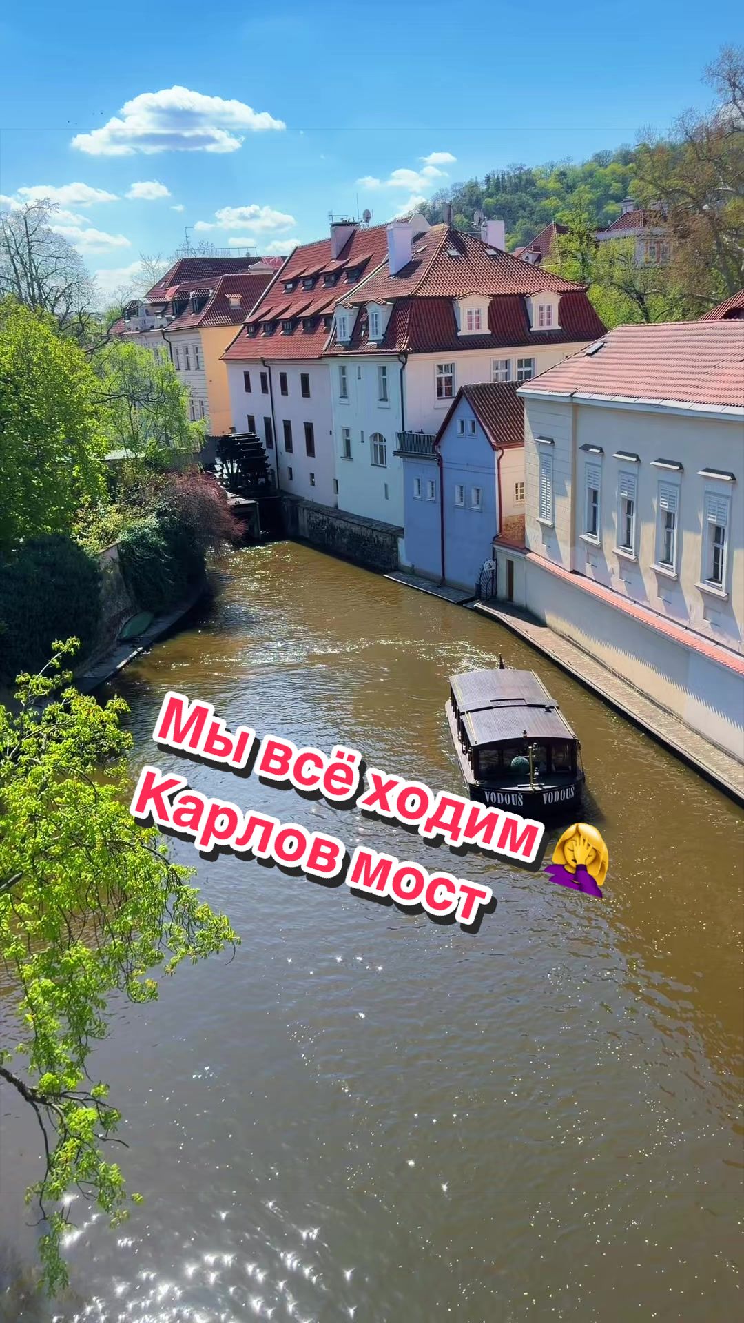 @ANJELIKTROYA