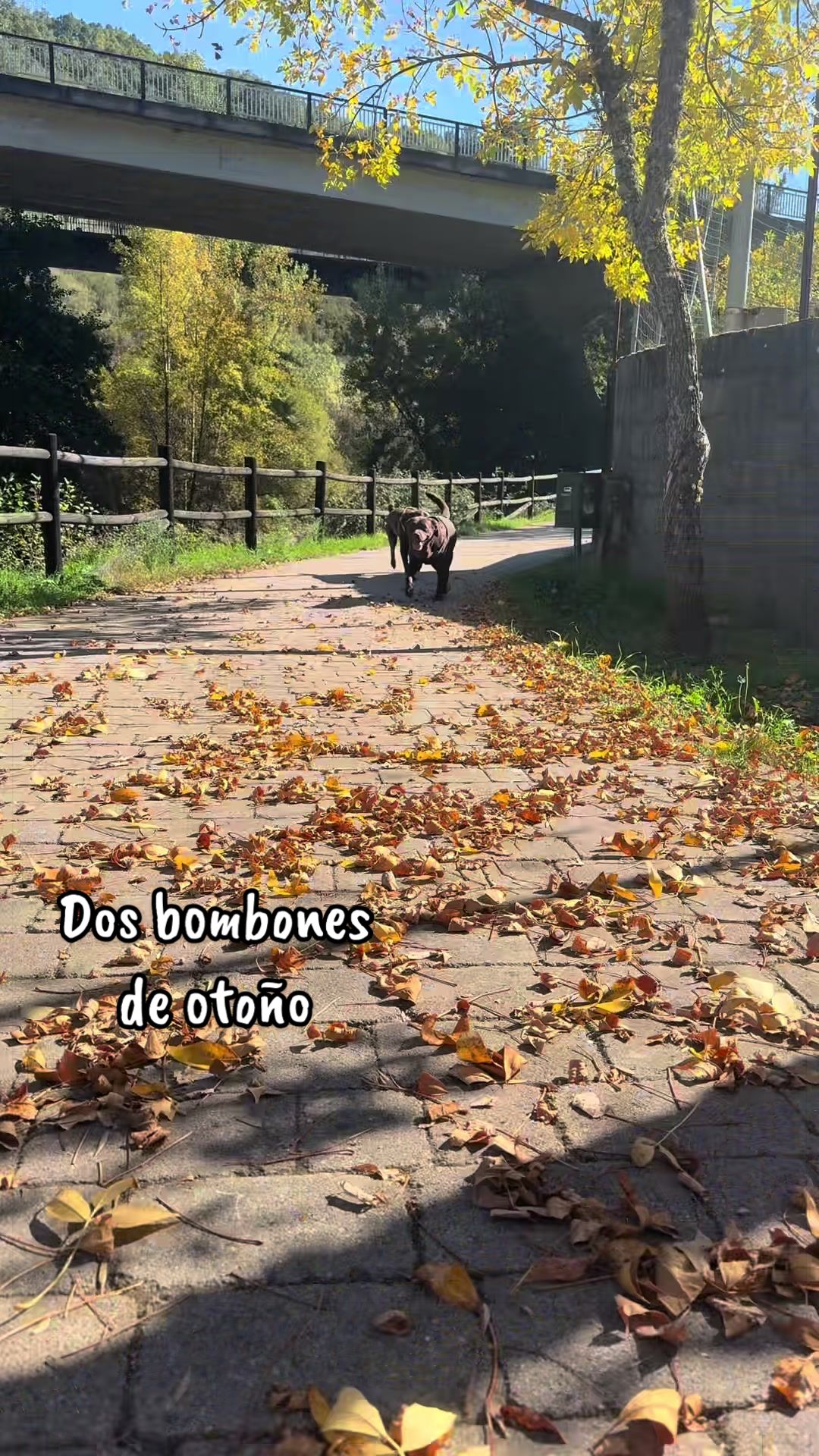 @Dos bombones