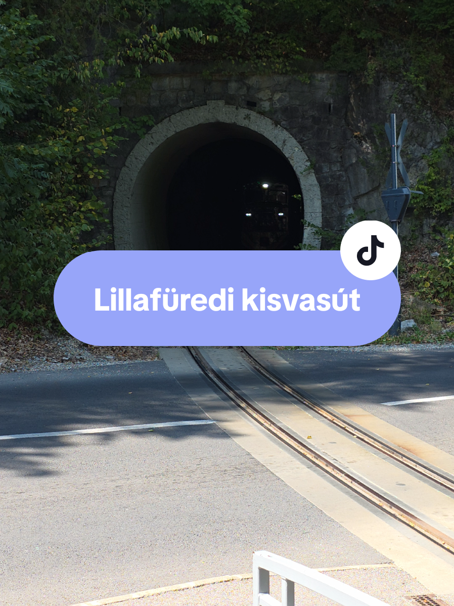 @PTF - Public Transport Fan