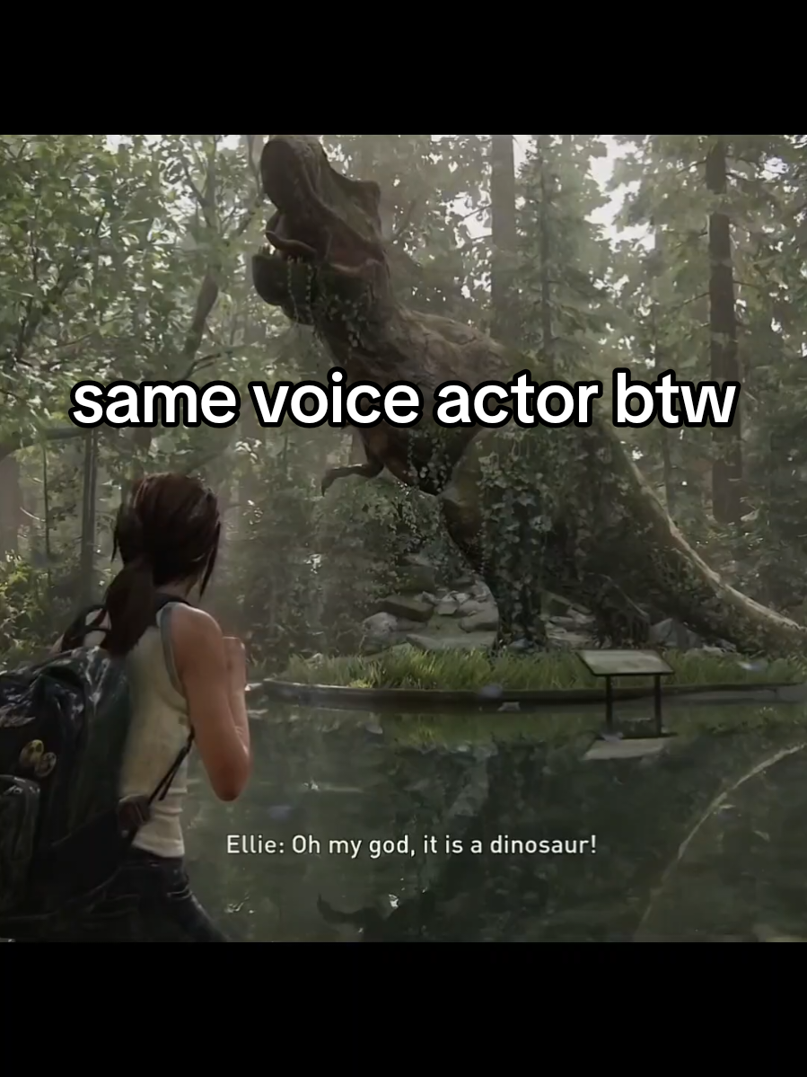 @Amir