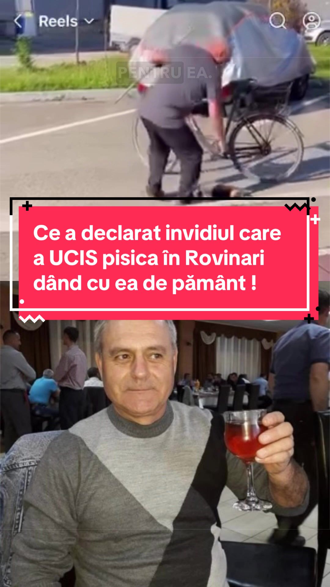 @Tudor-Tim Ionescu