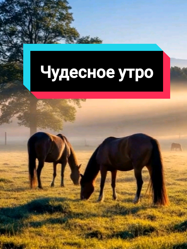 @Glafira