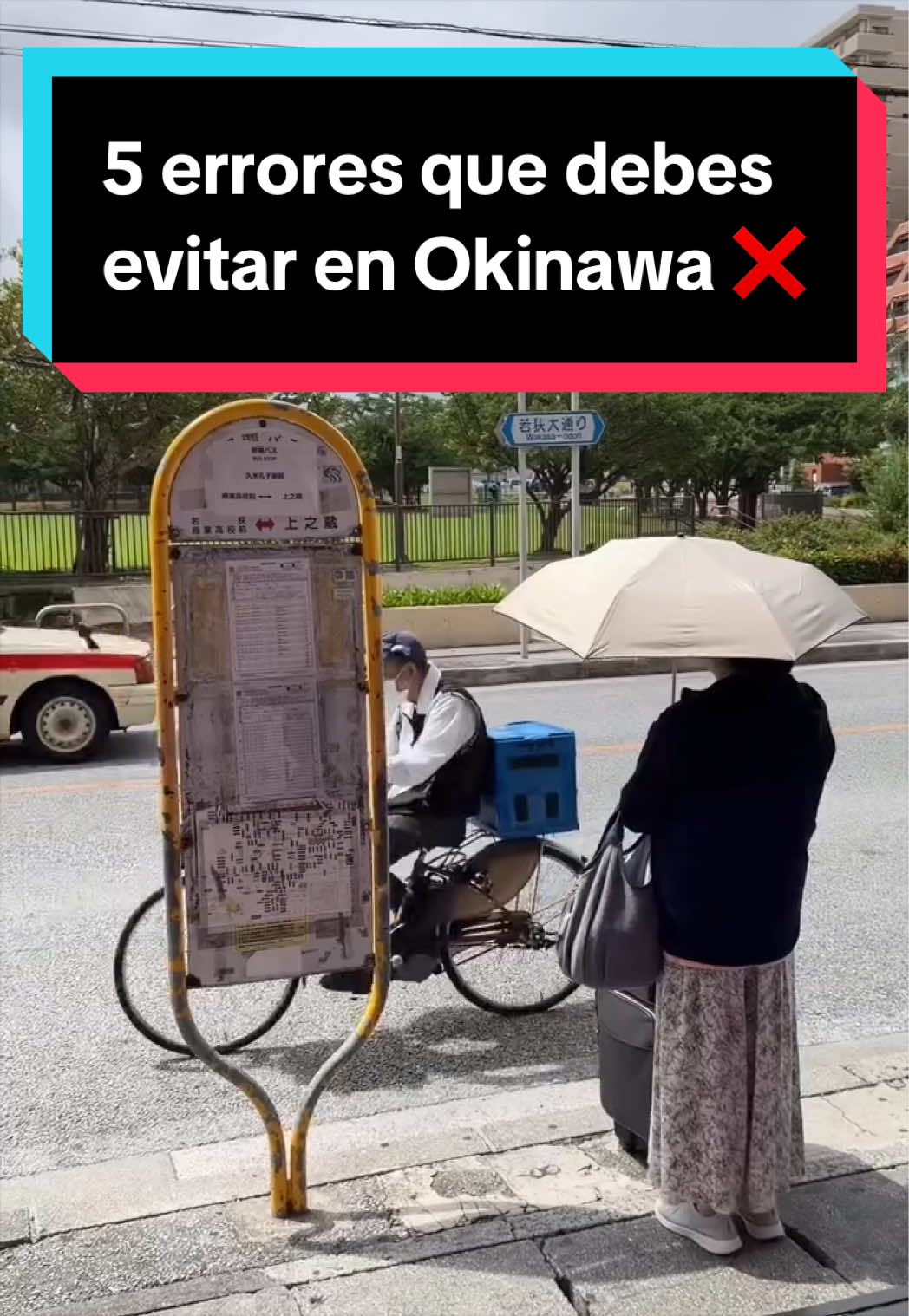 @Jap&oacute;n Alternativo