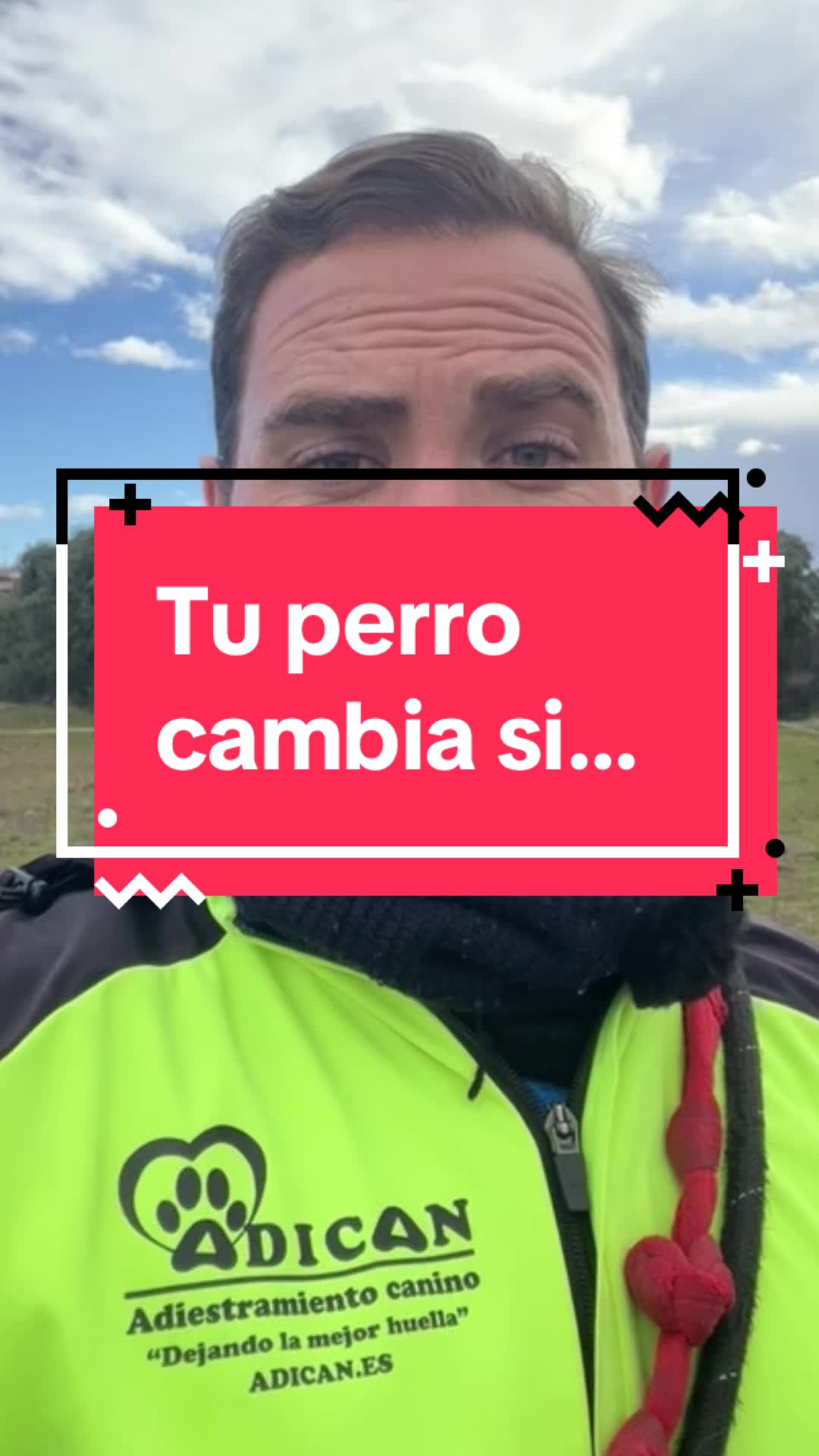 @adican_adiestradorcanino
