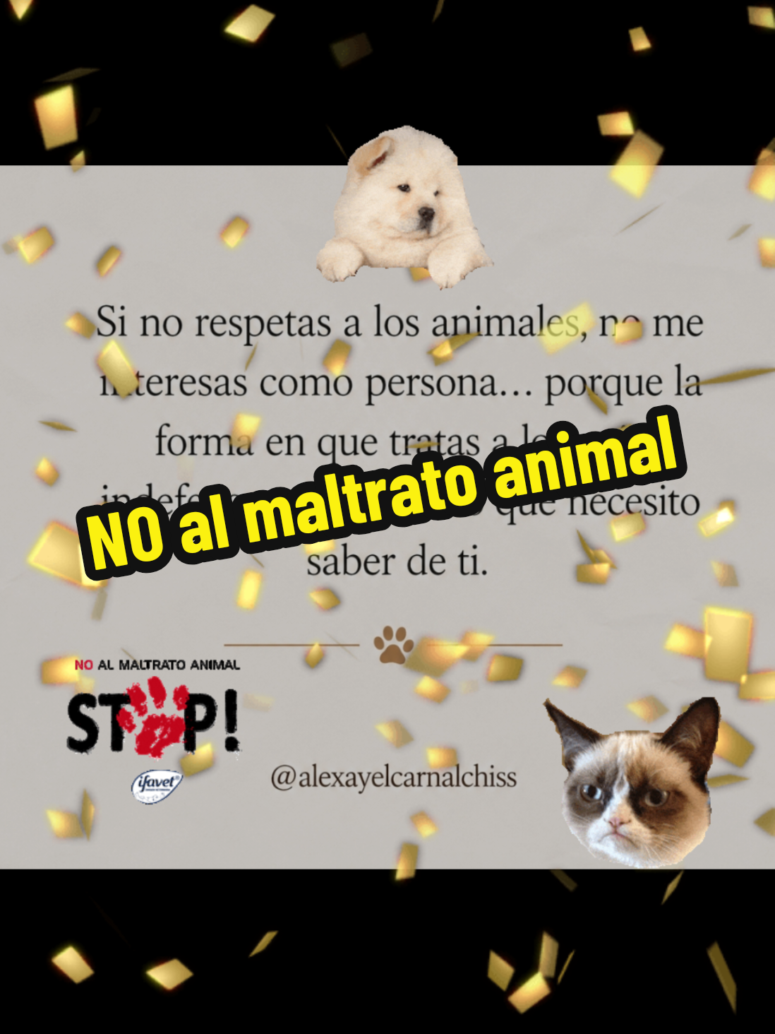 @❤️💛💜Nelo 2.0 🐈&zwj;⬛🐈🙀