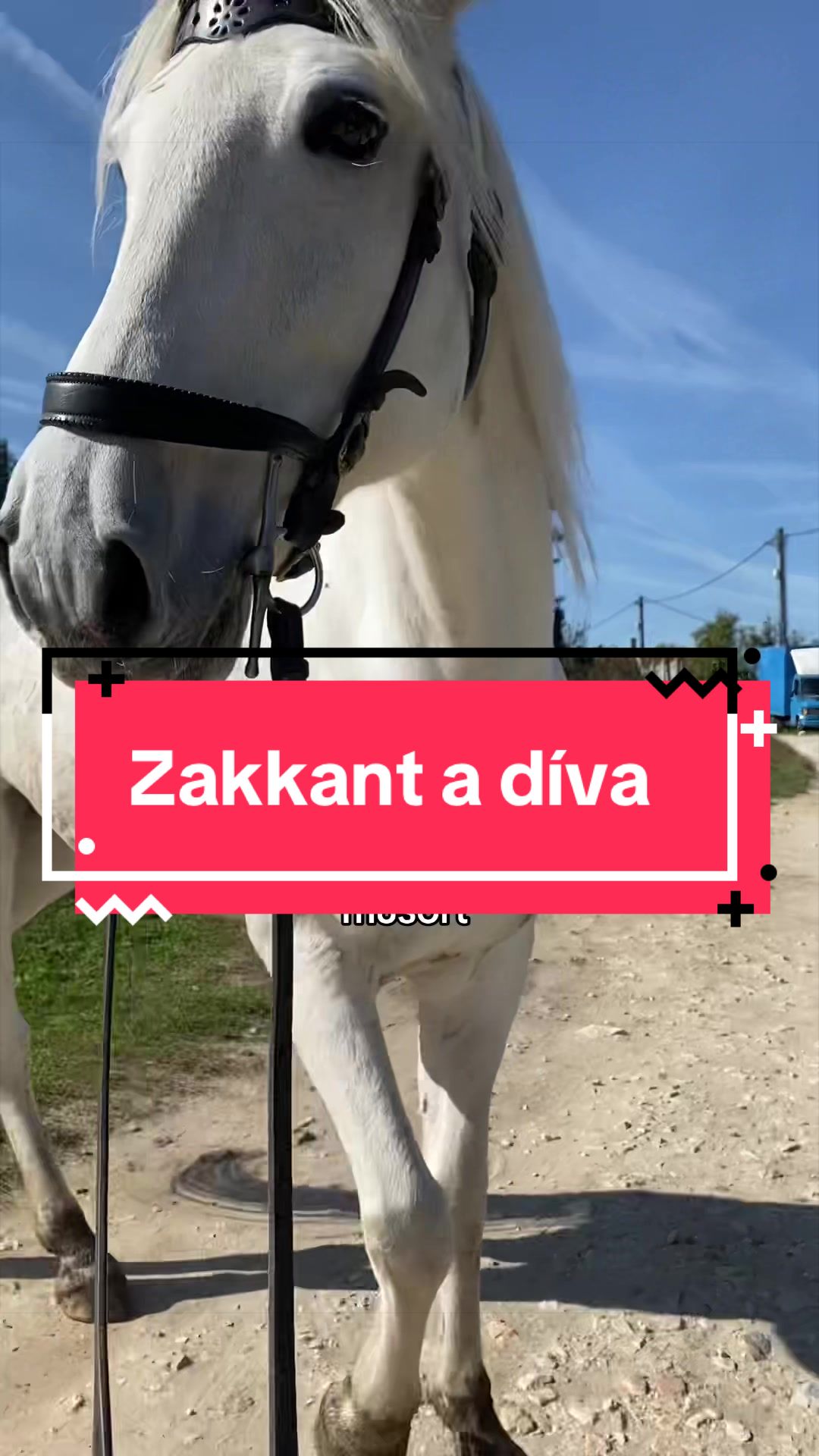 @Emirideer
