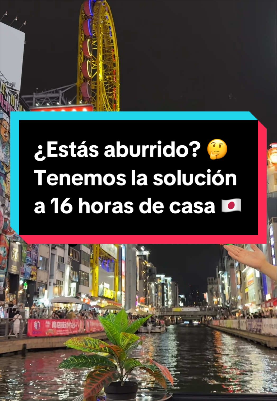 @Jap&oacute;n Alternativo