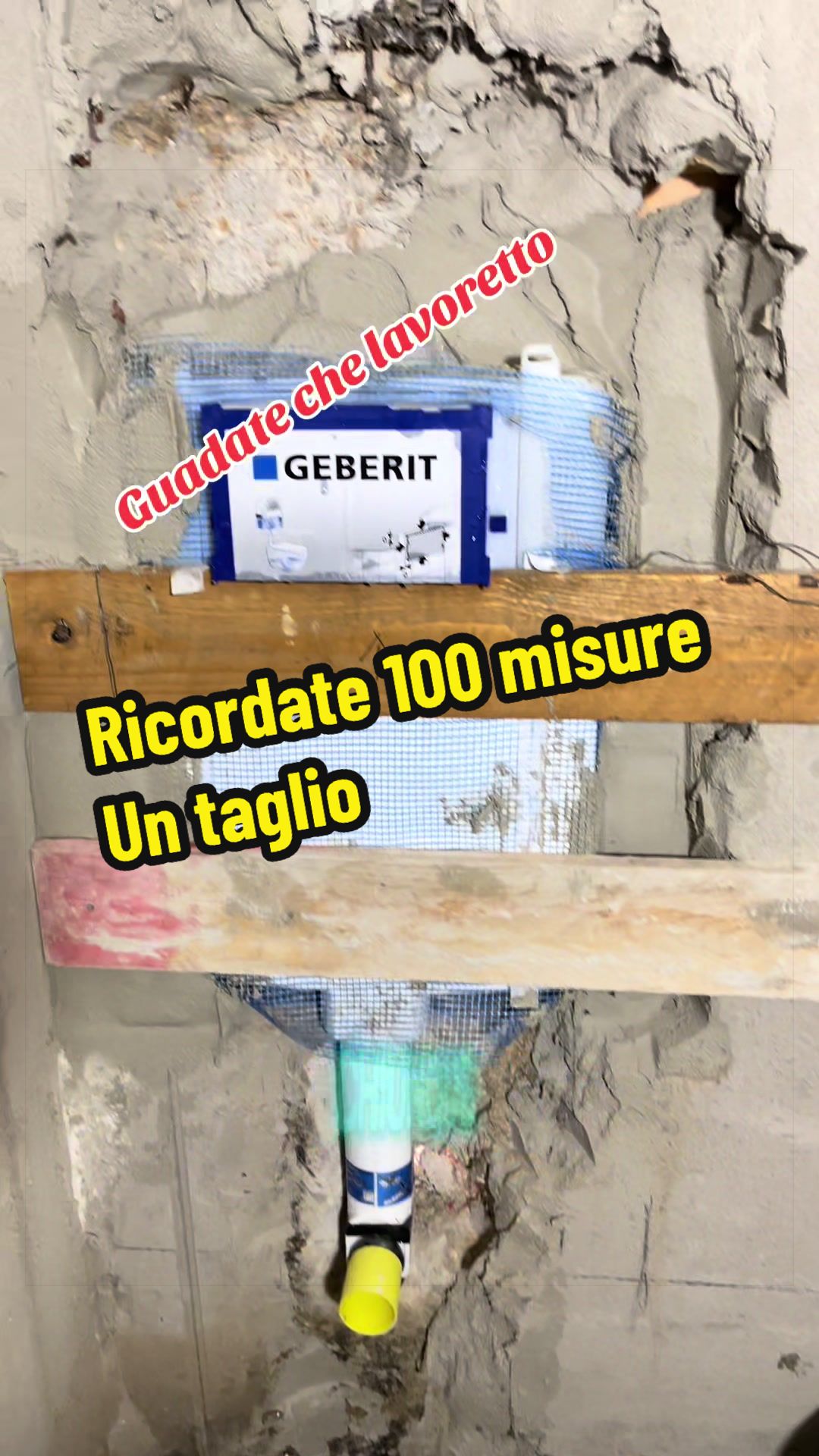@Alessandro Cuomo ♌️