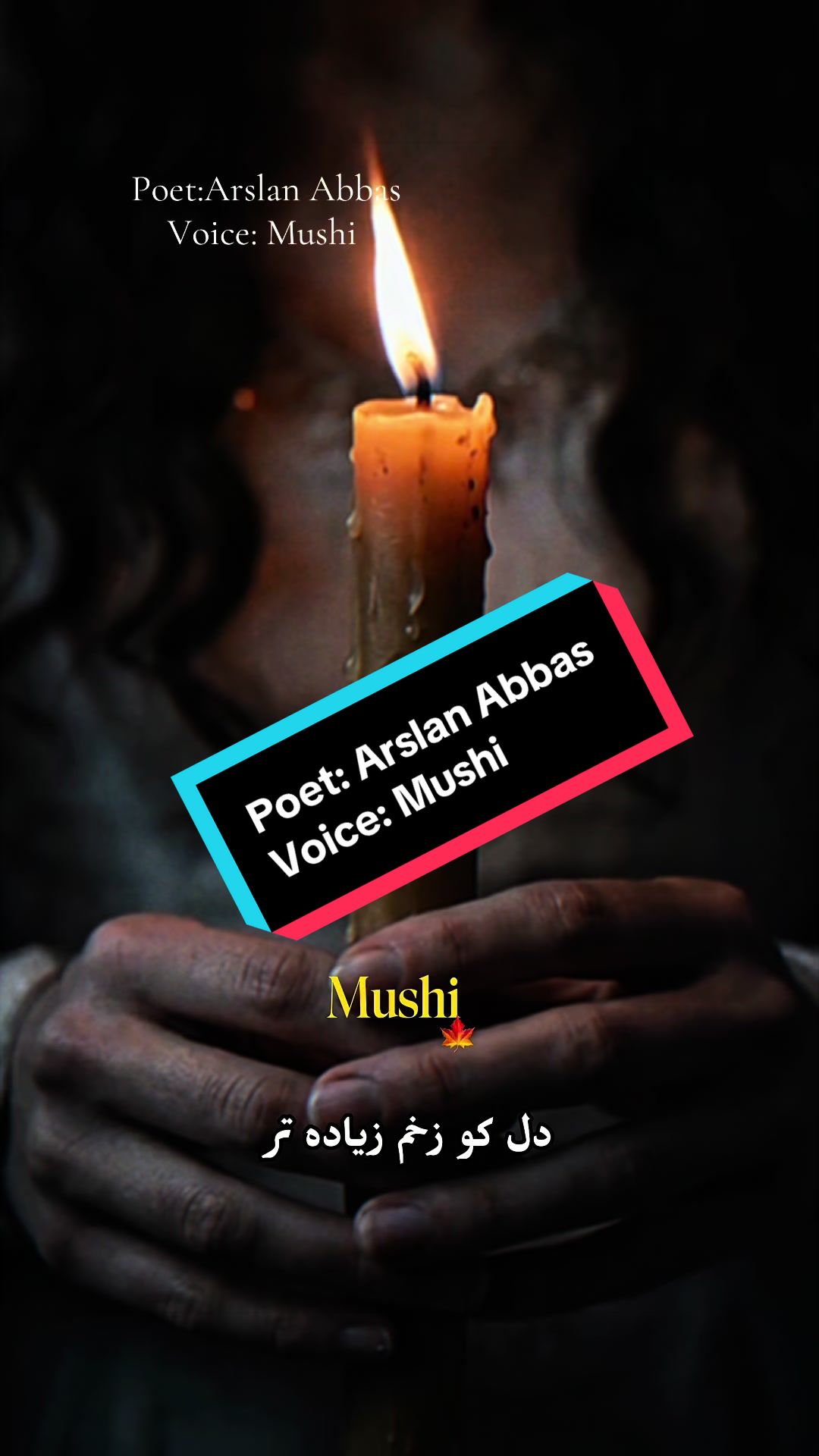 @Ayzal🍁Mushi