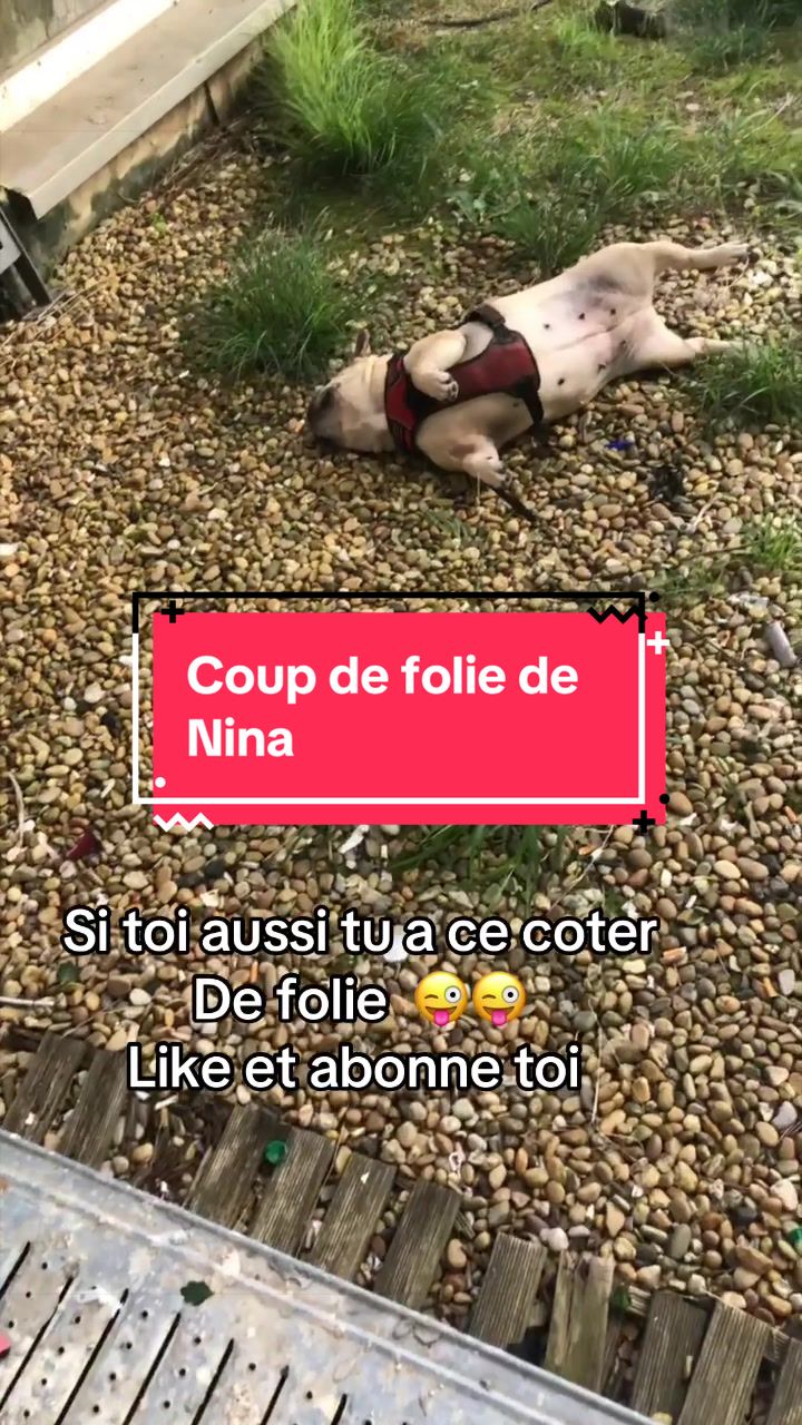 @les aventures de Nina
