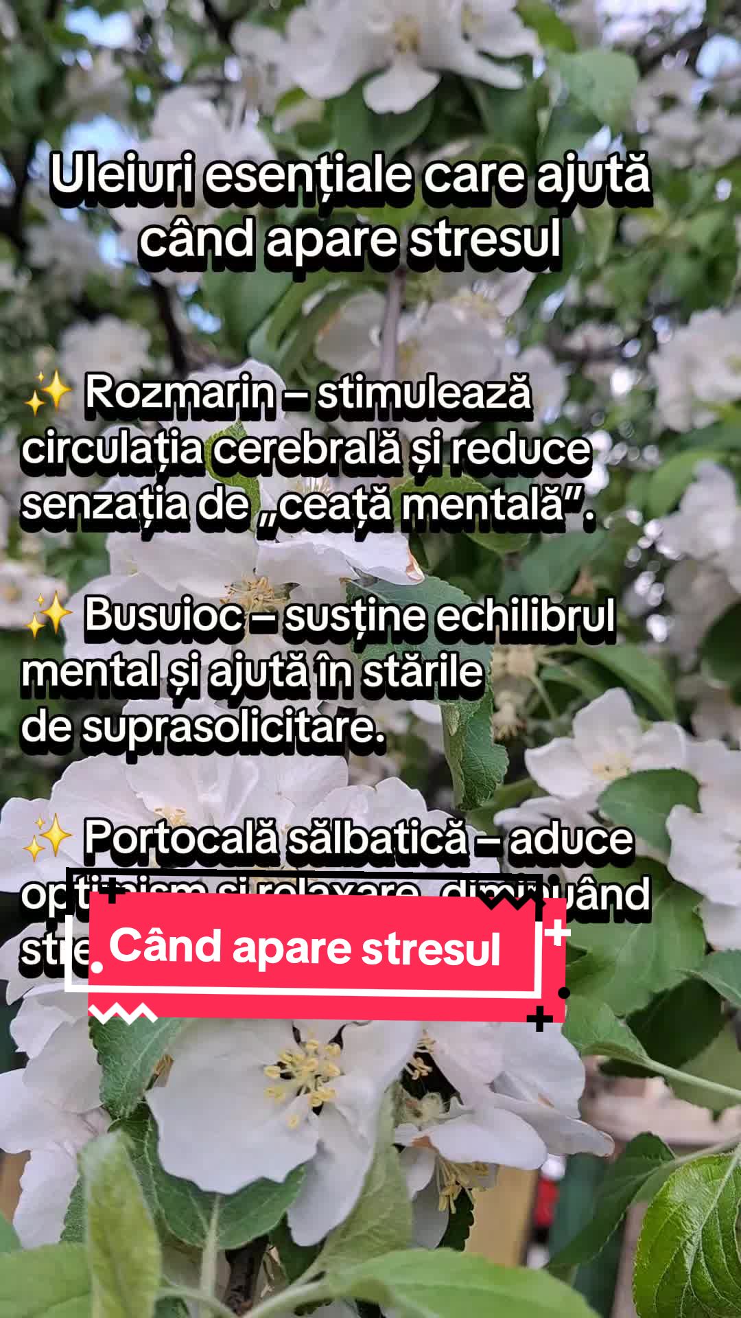 @Raluca Stoleru