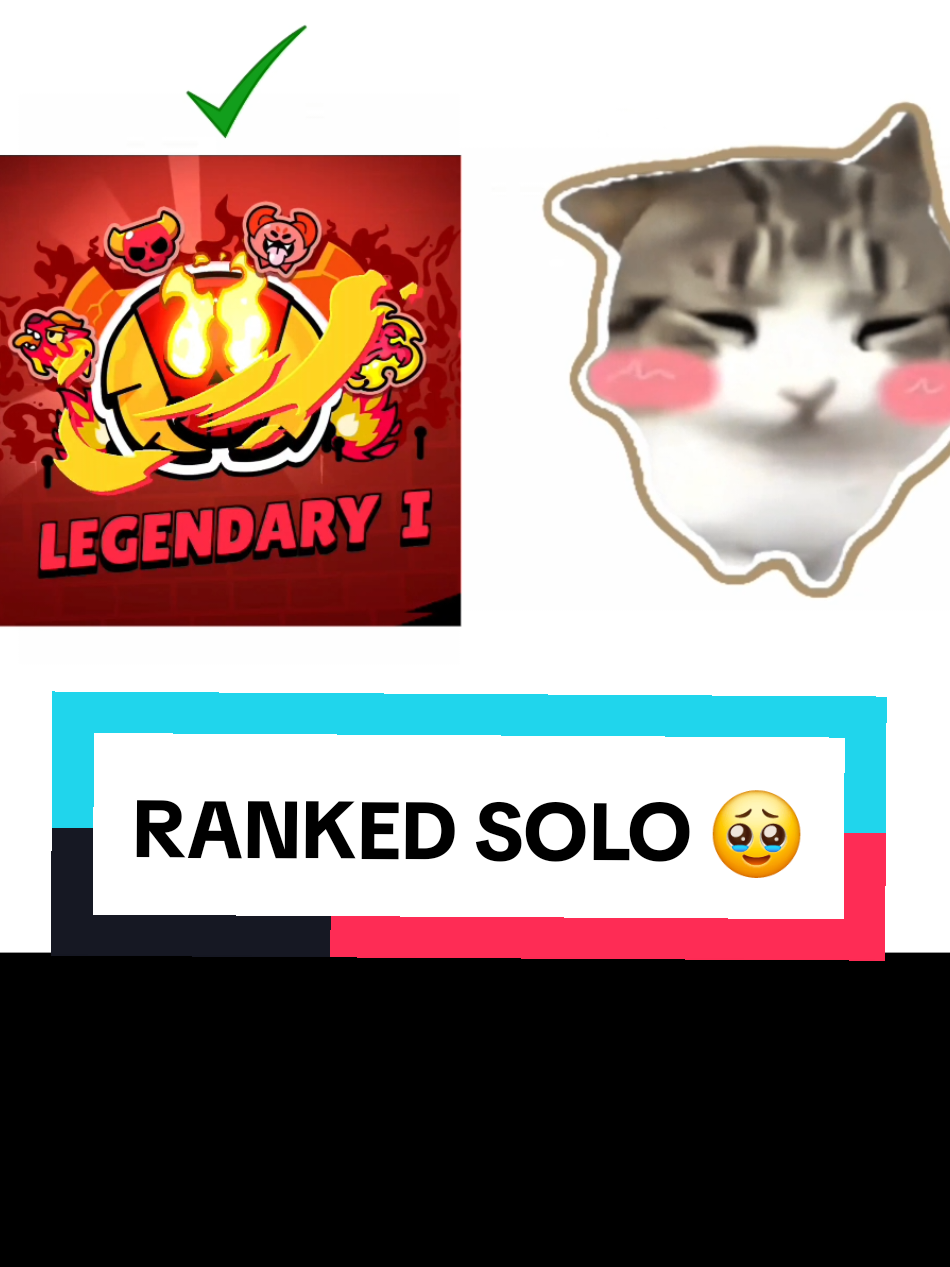 @space cat
