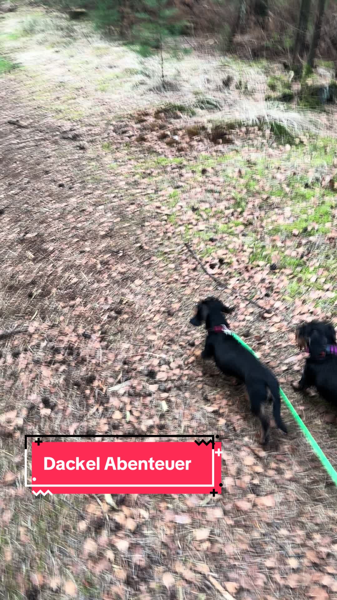 @v.d.Burgmannshöfen
