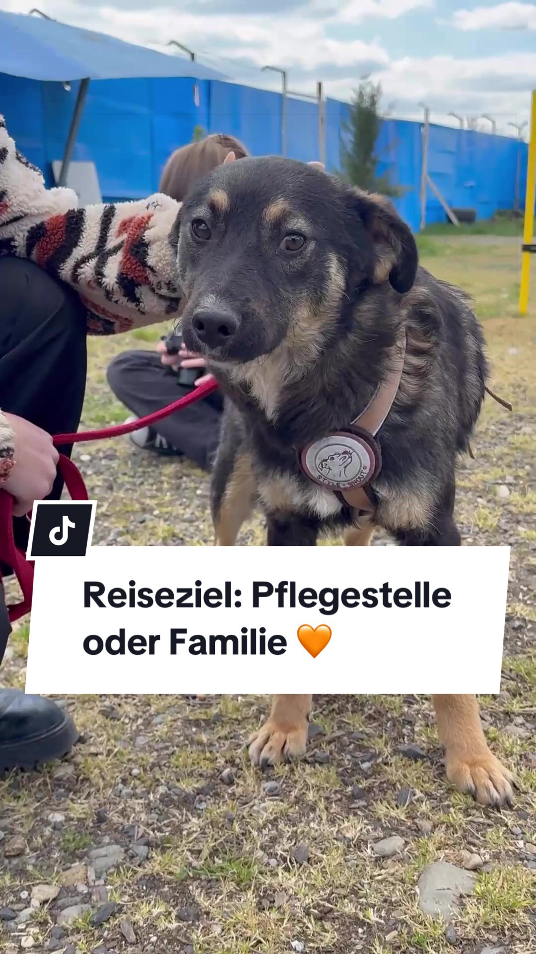 @Ein Herz für Streuner e.V.