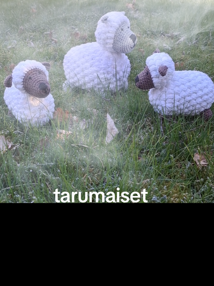 @tarumaiset