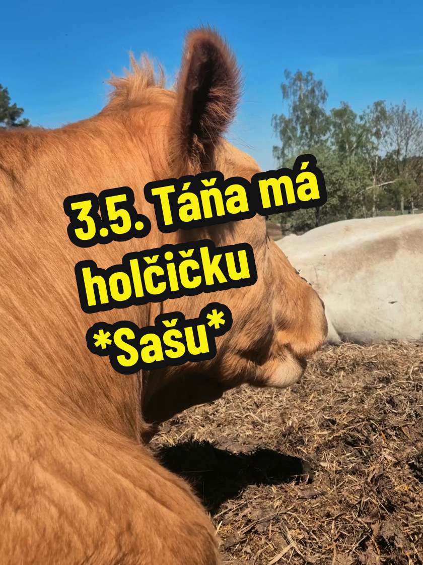 @Ekofarma Holčovice