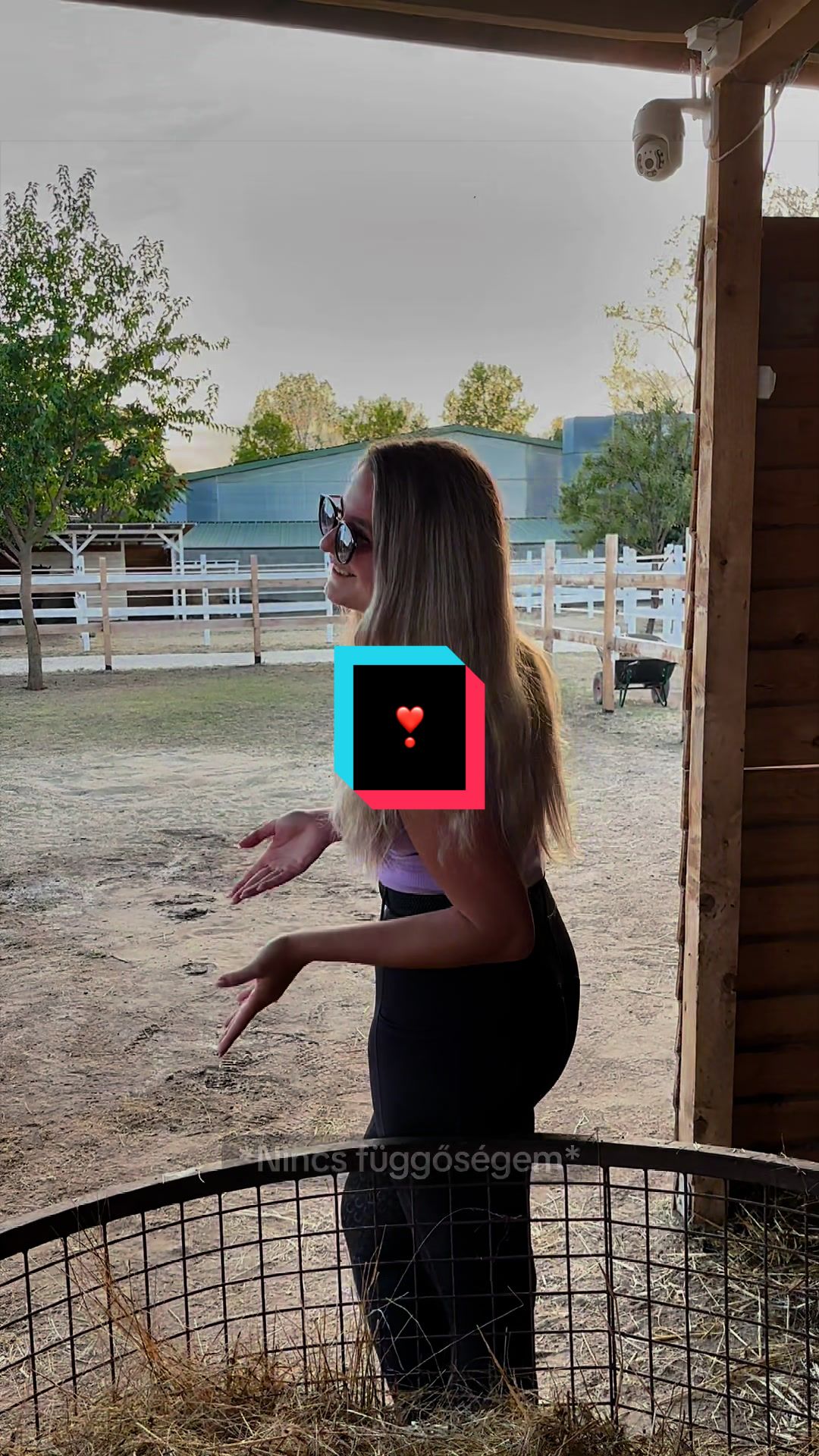 @Lili Kulcsár