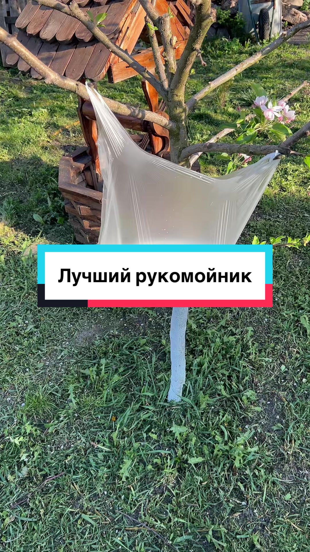 @laifhak_mozgi