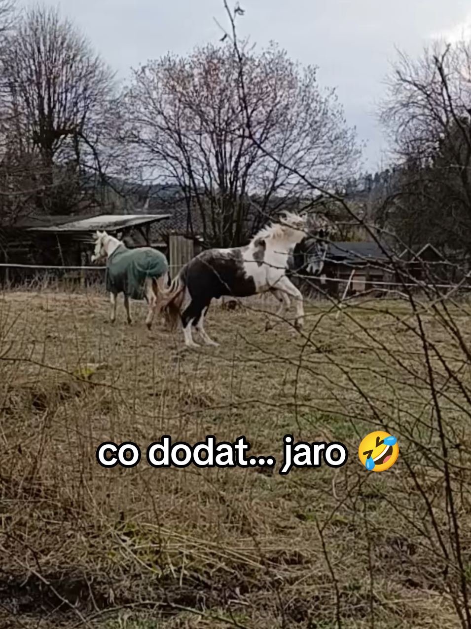 @NeLLy_and_pet