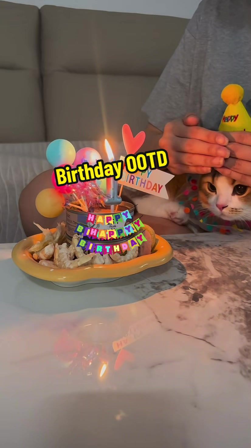 @DIY kitten