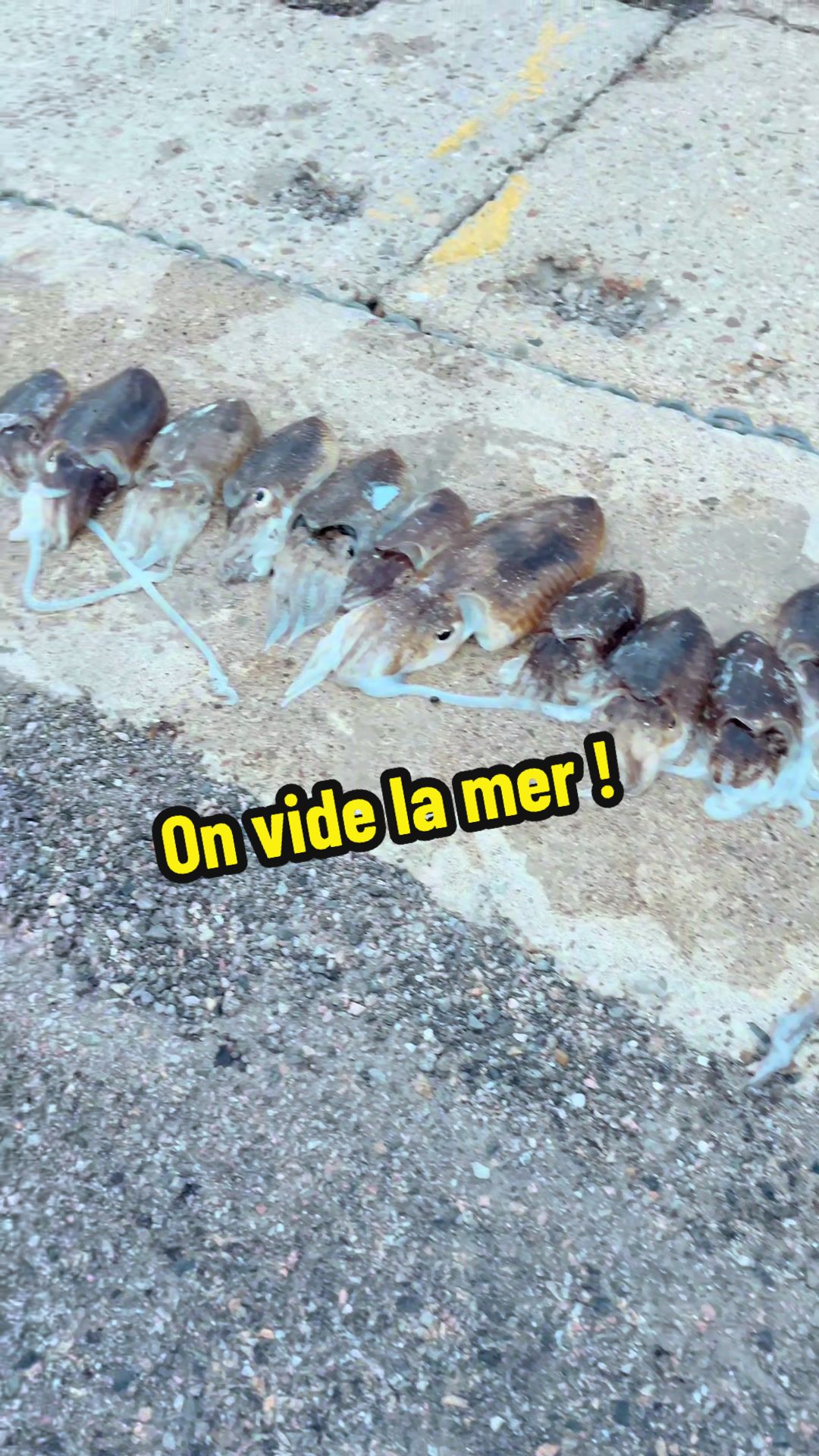 @Accro’Pêch 66