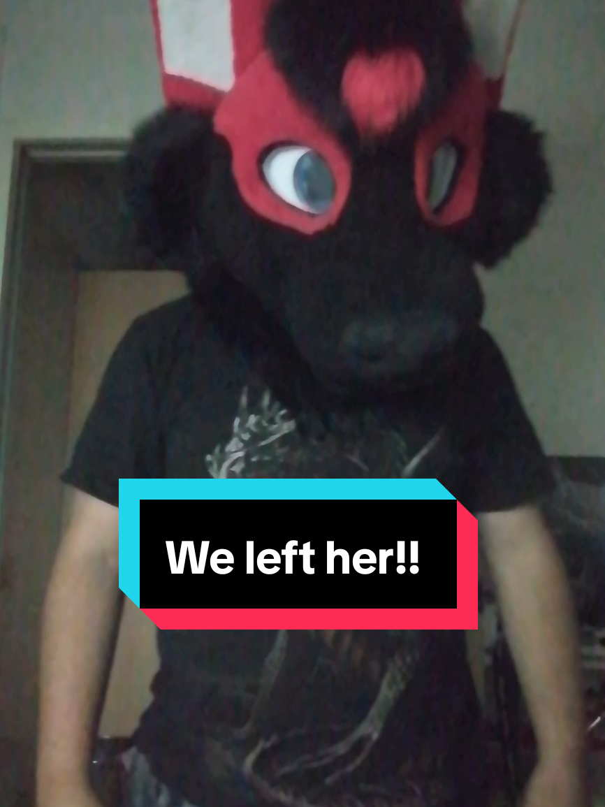 @Hikaji The Husky