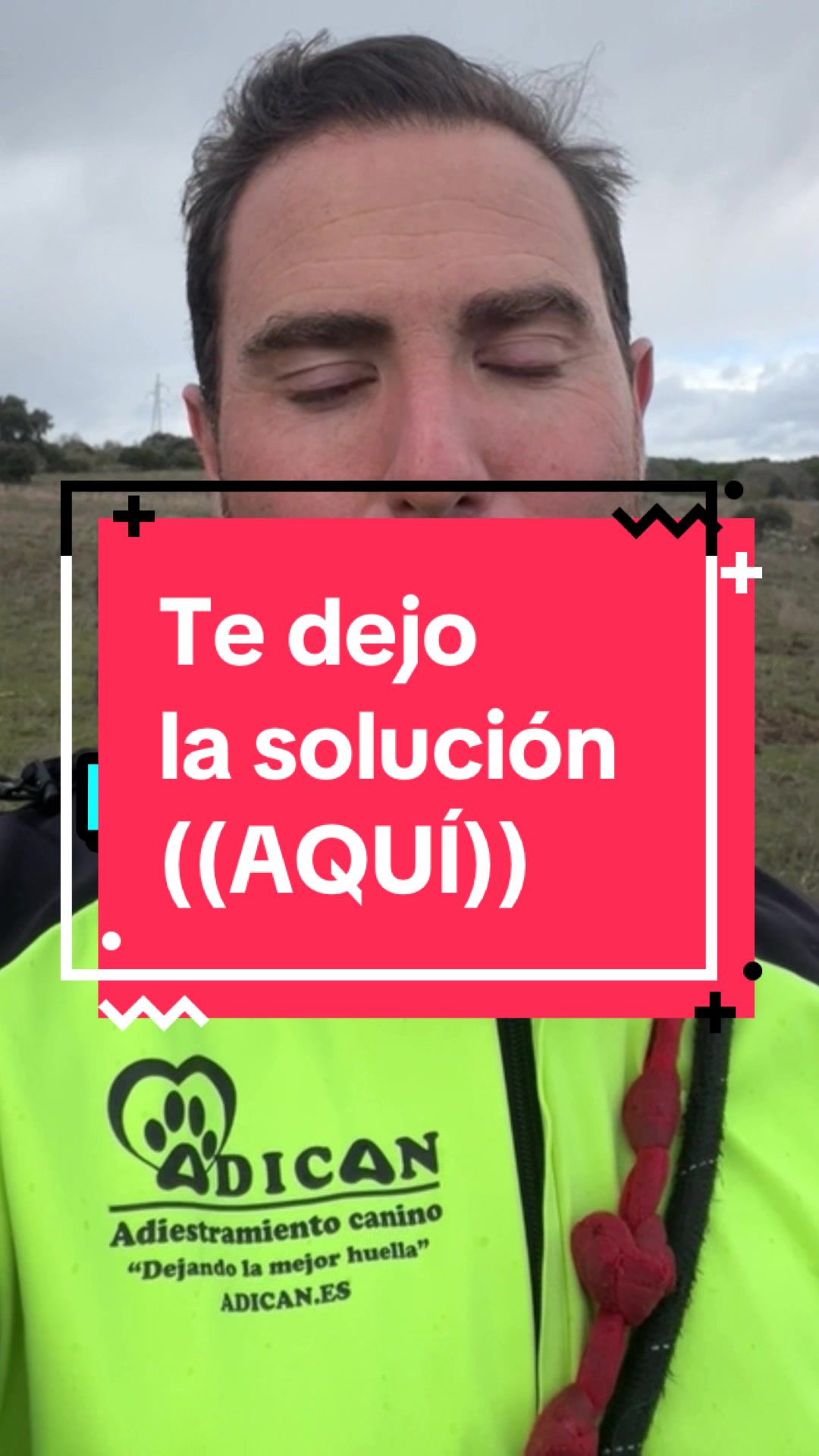 @adican_adiestradorcanino