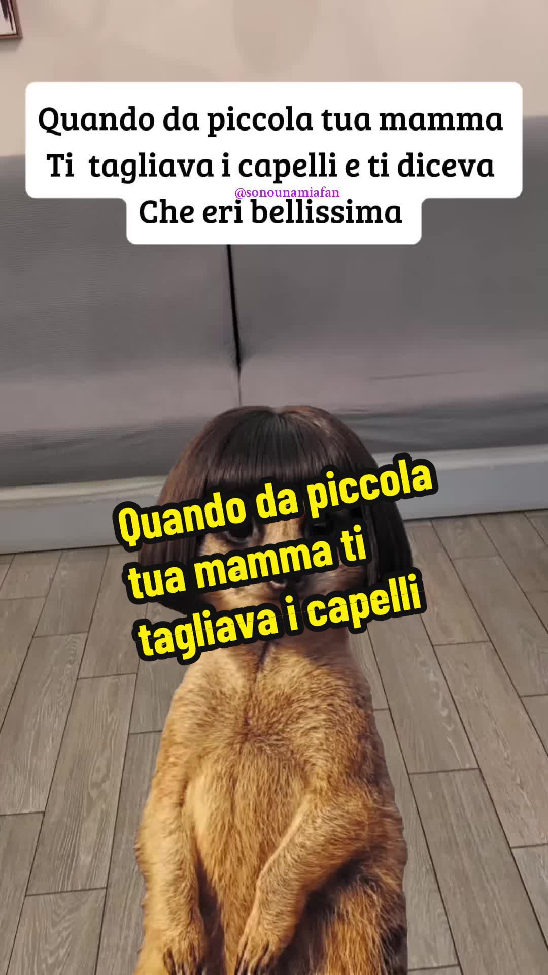 @👑SONO UNA MIA &ldquo;FAN&rdquo;👑