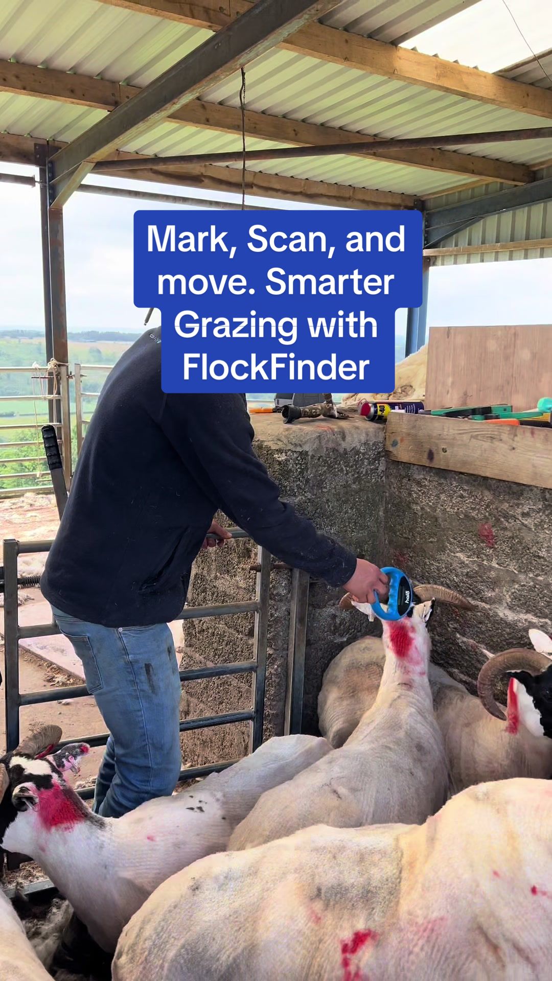 @FlockFinder