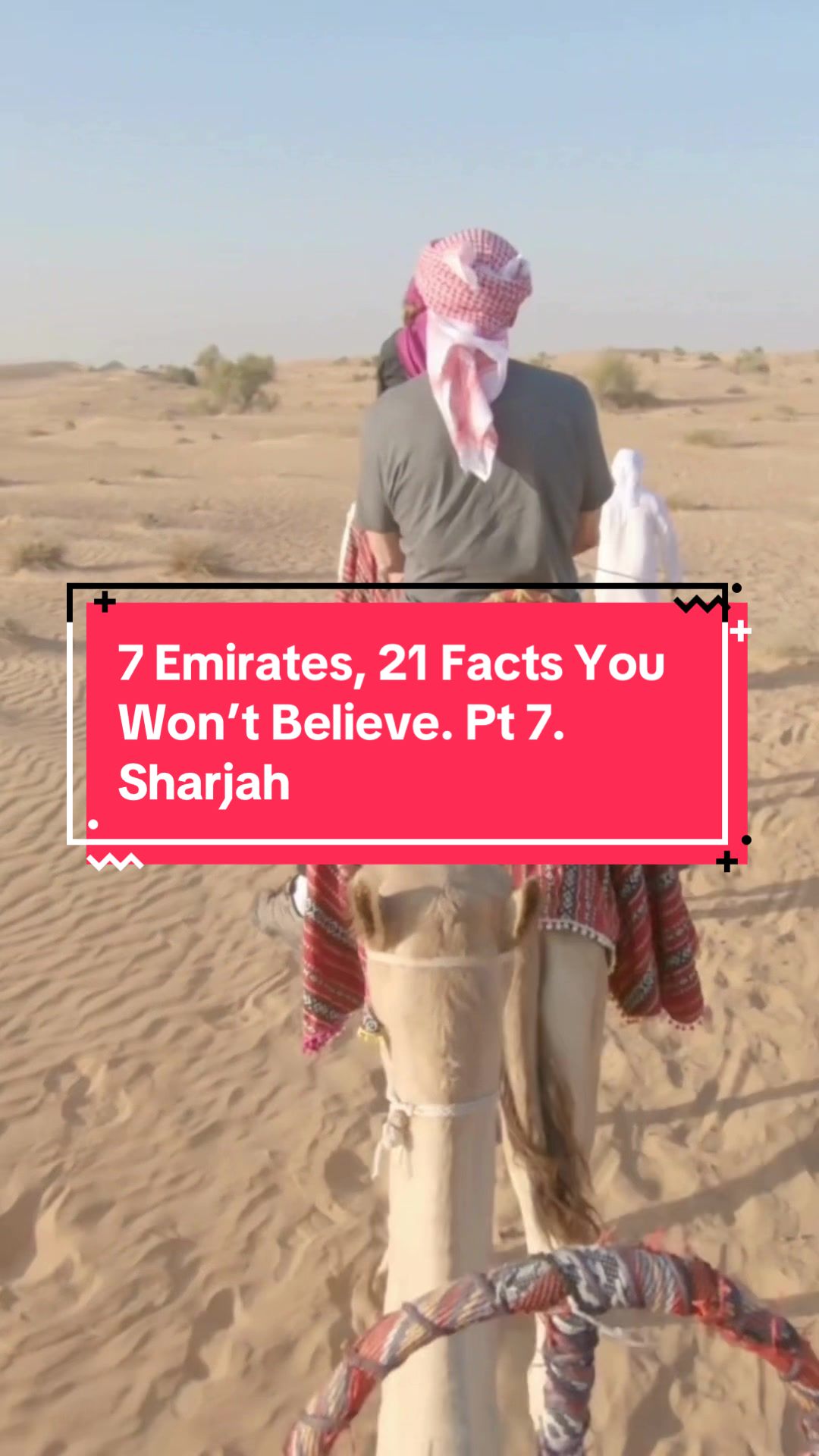 @uaeplaybook.com
