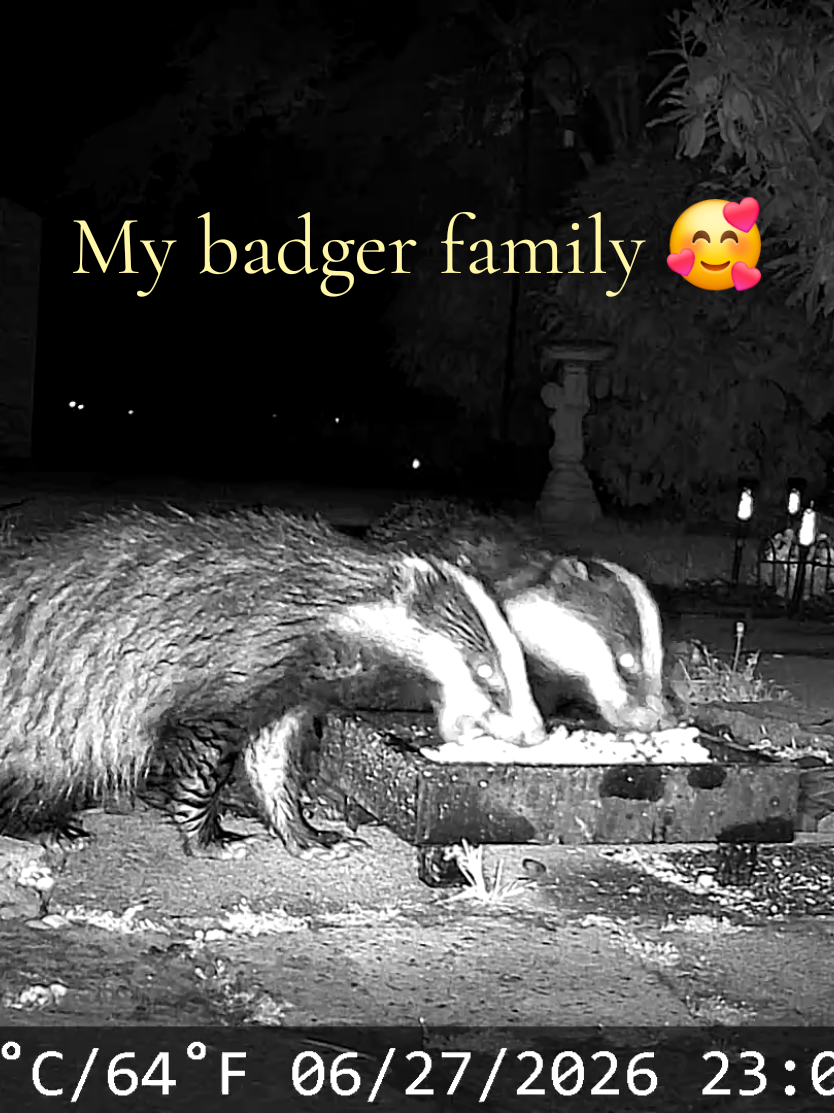 @Kent Garden Wildlife UK