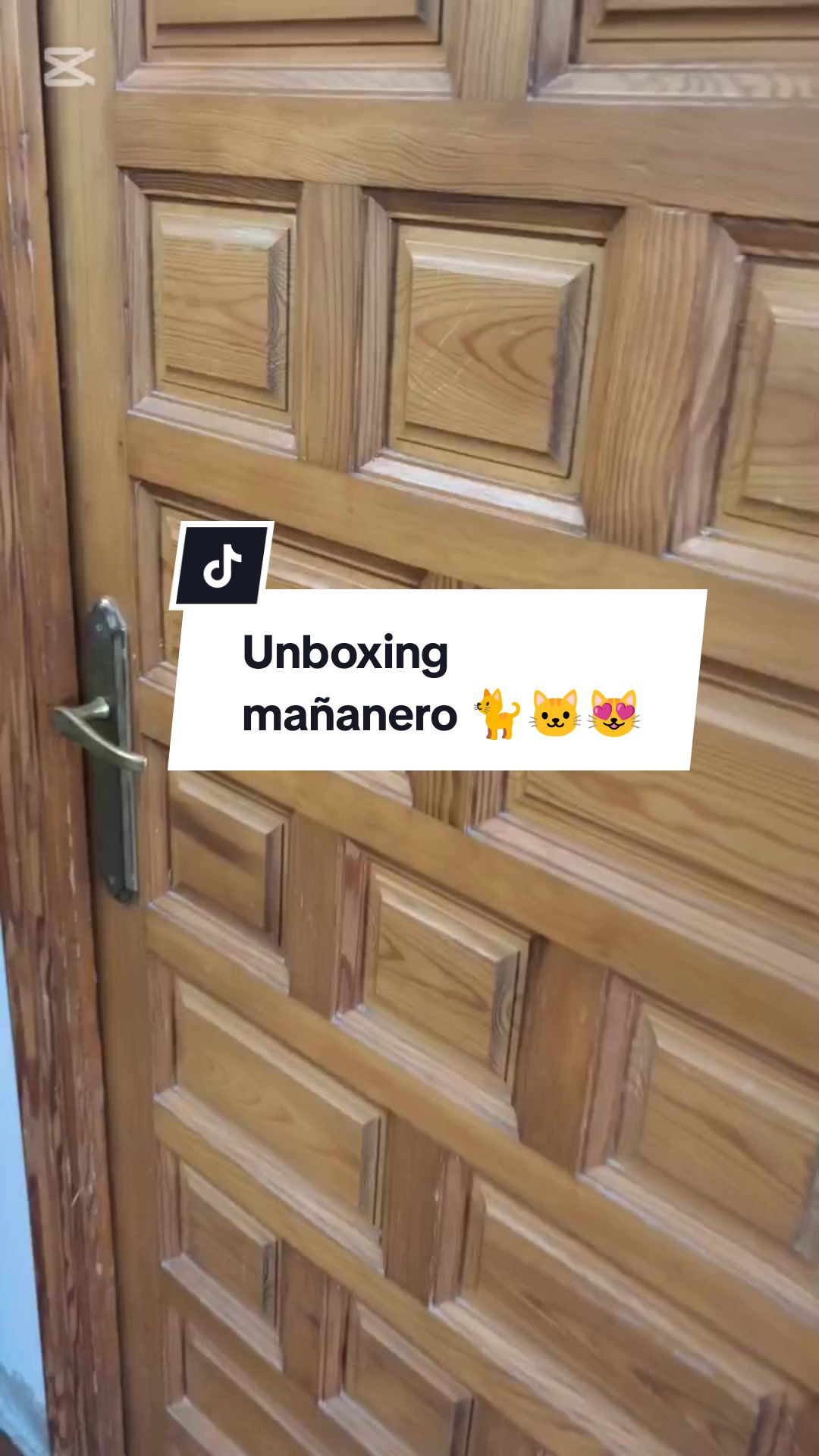 @enGatadas