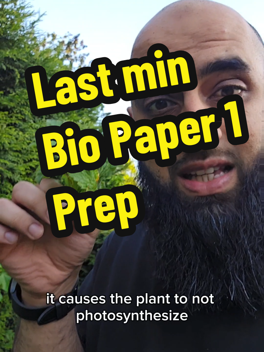 @LTT Academy (GCSE & A Level)