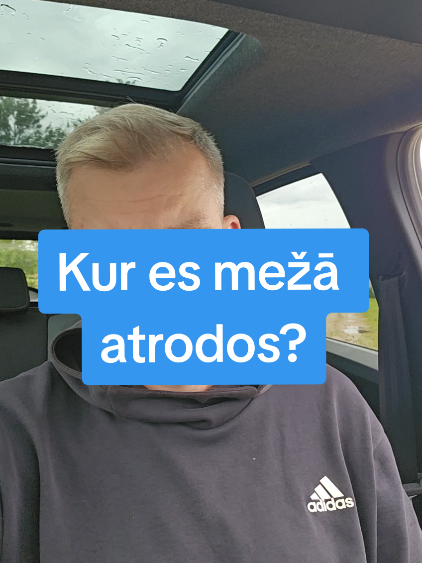 @skogberg_lv