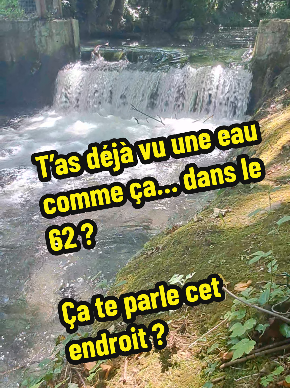 @Euchmath