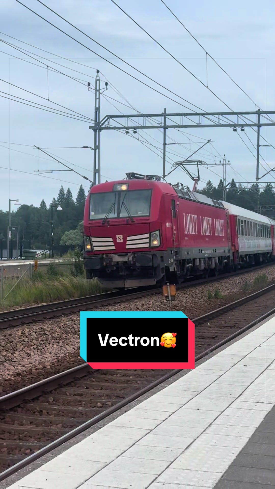 @đžThe Swedish Trainspotterđž