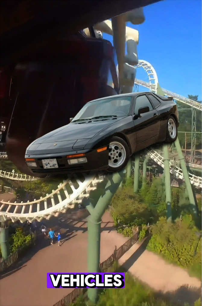@Coaster Chicken