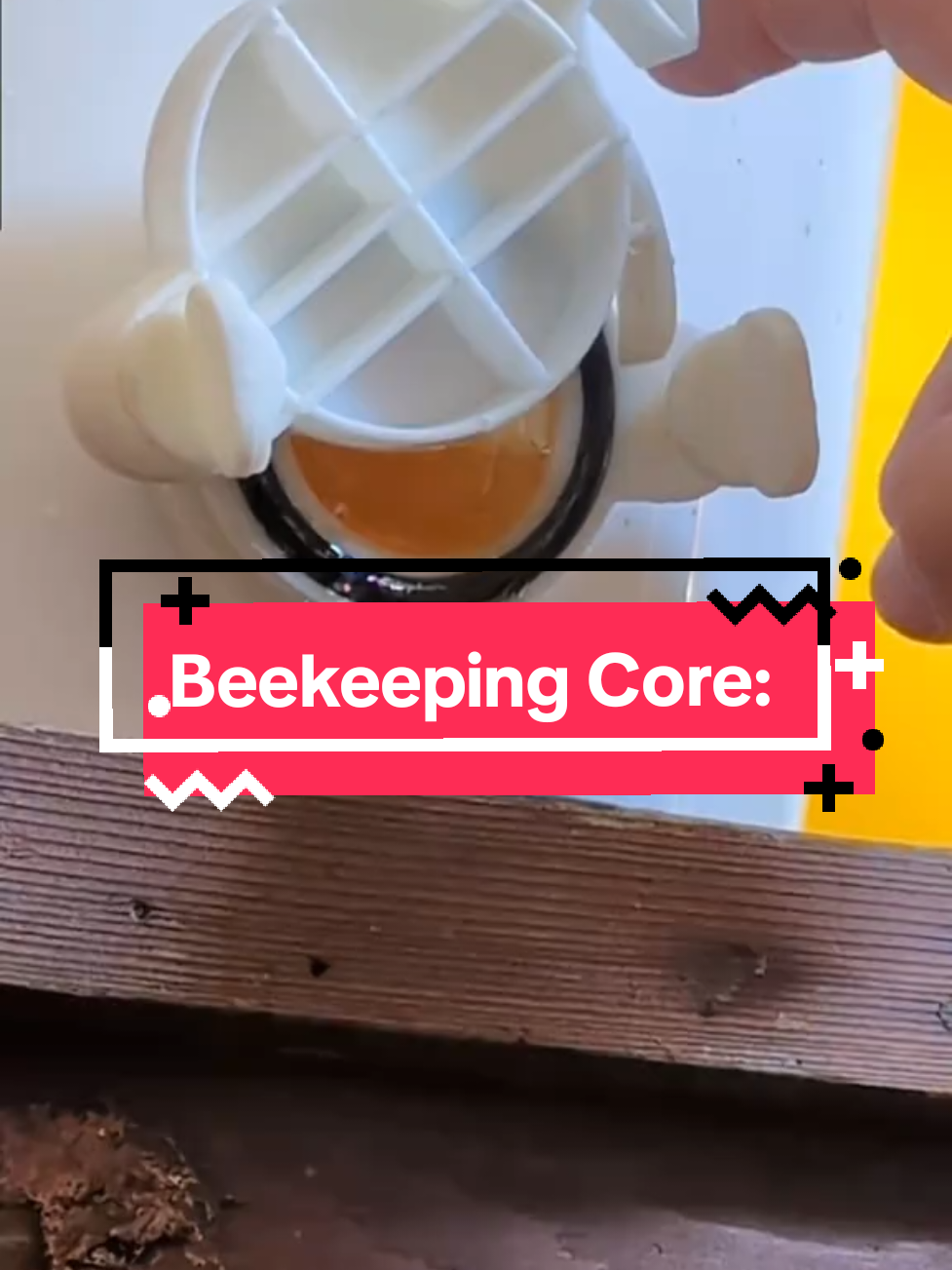 @Cherry Tree Hives