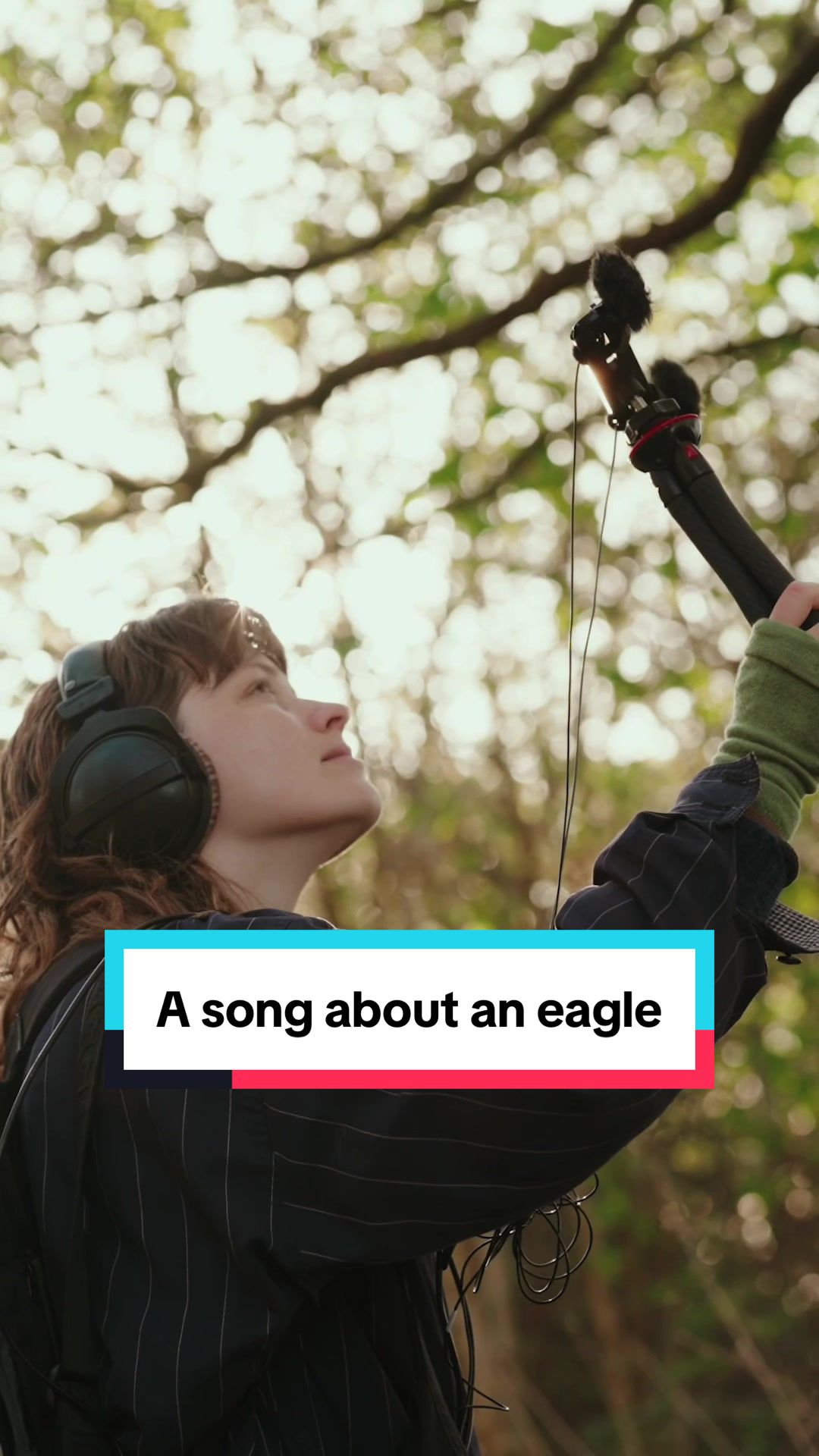 @Alice Boyd: nature music sound