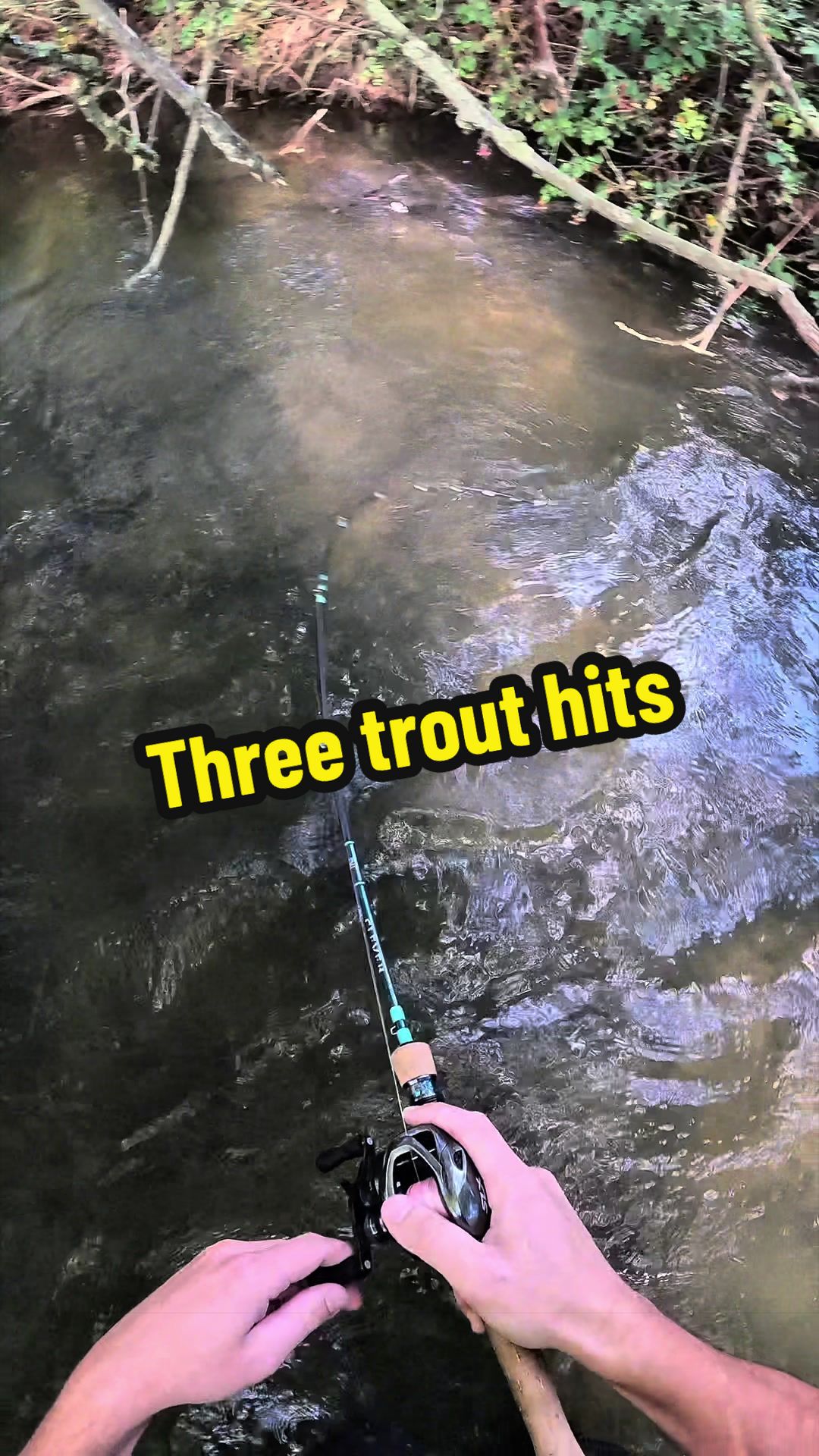 @Seantheprawn.v