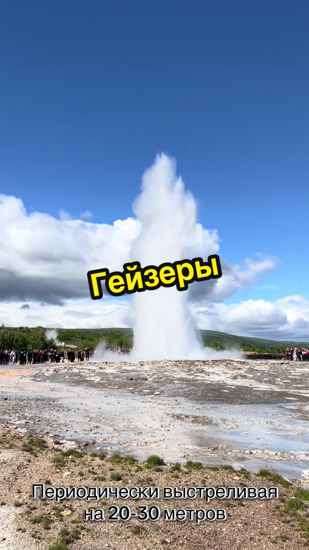 @Блондинка 🇪🇪 Тиктока