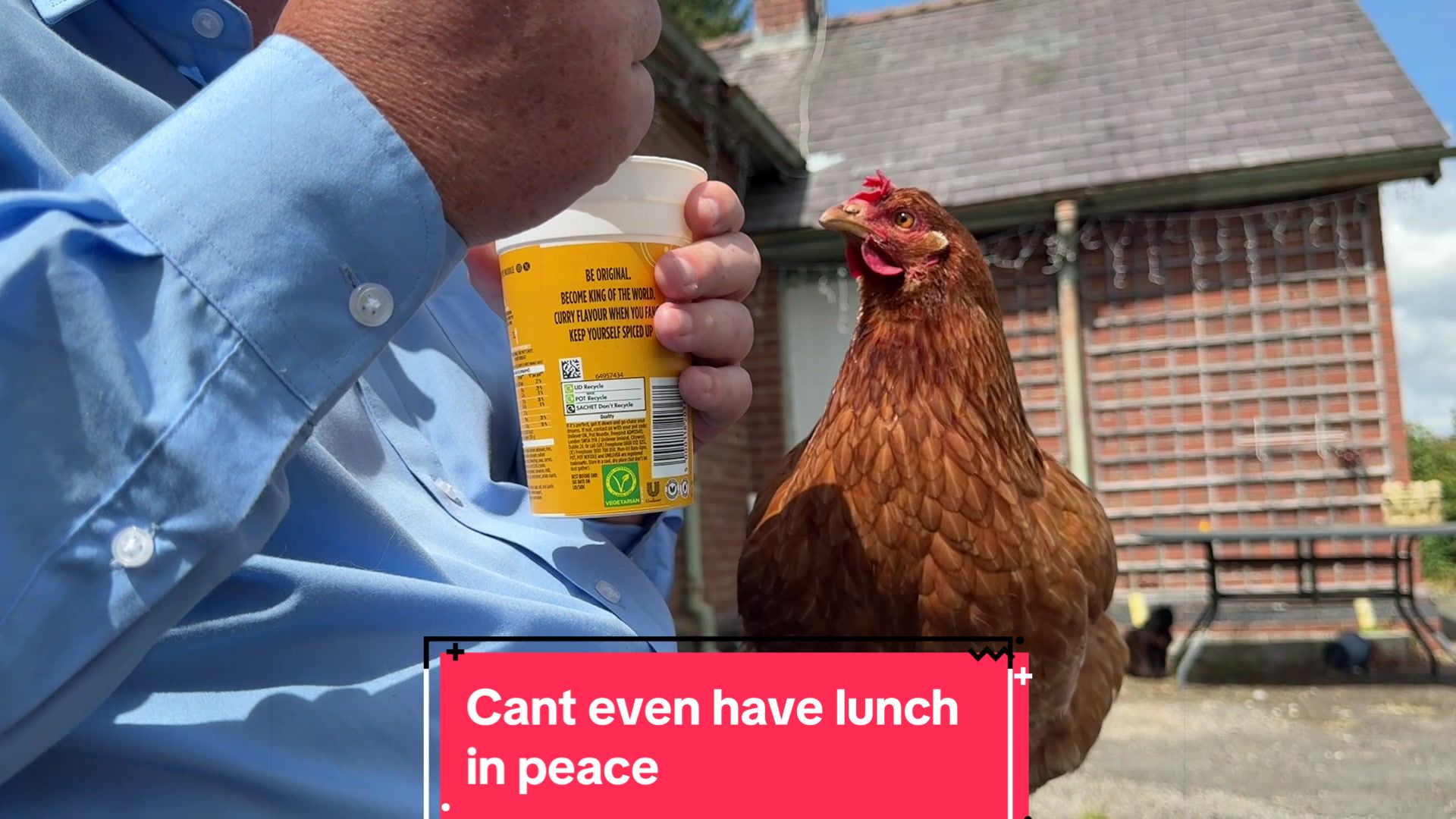 @Welsh Chicken Ranch