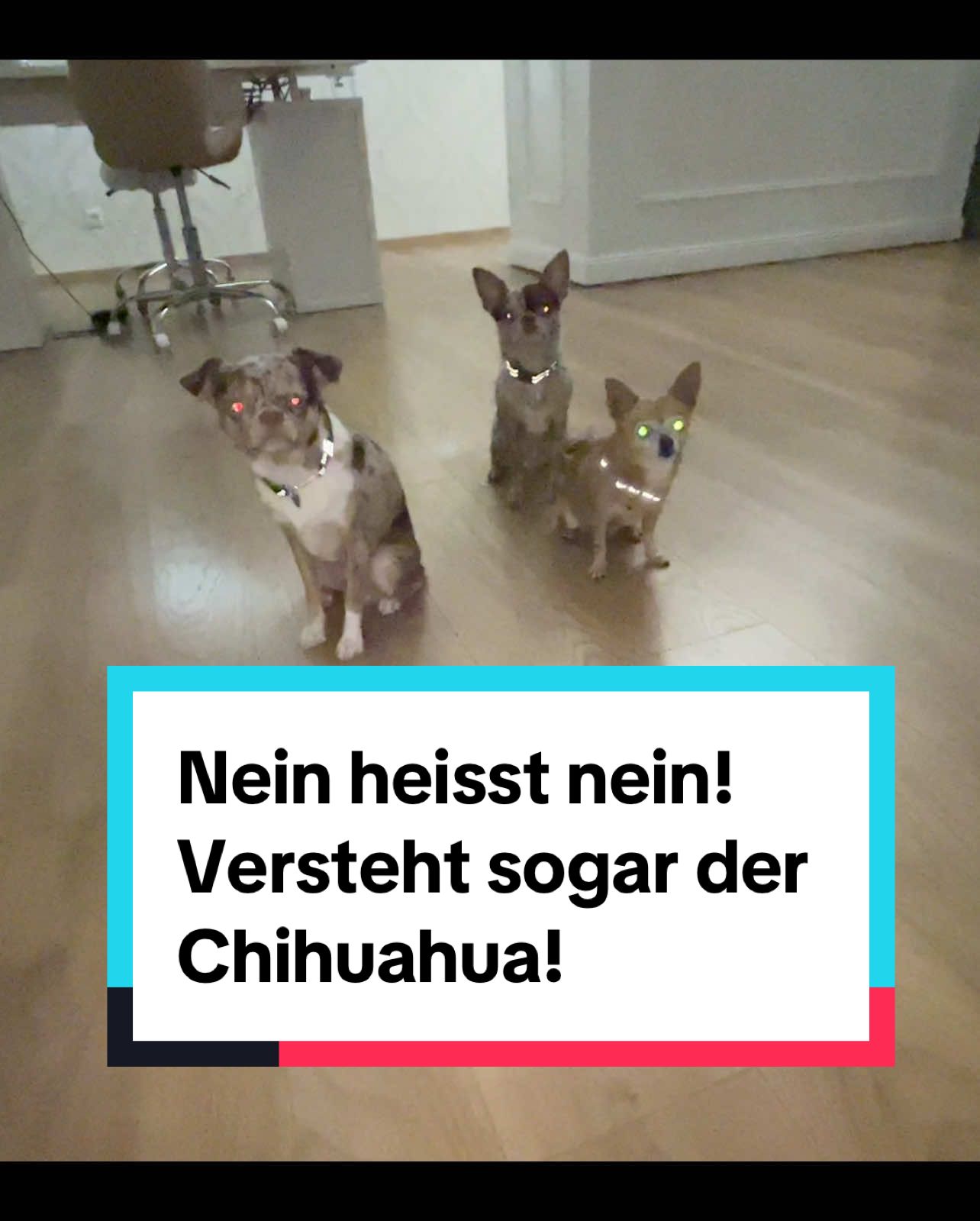@ironia_occulta